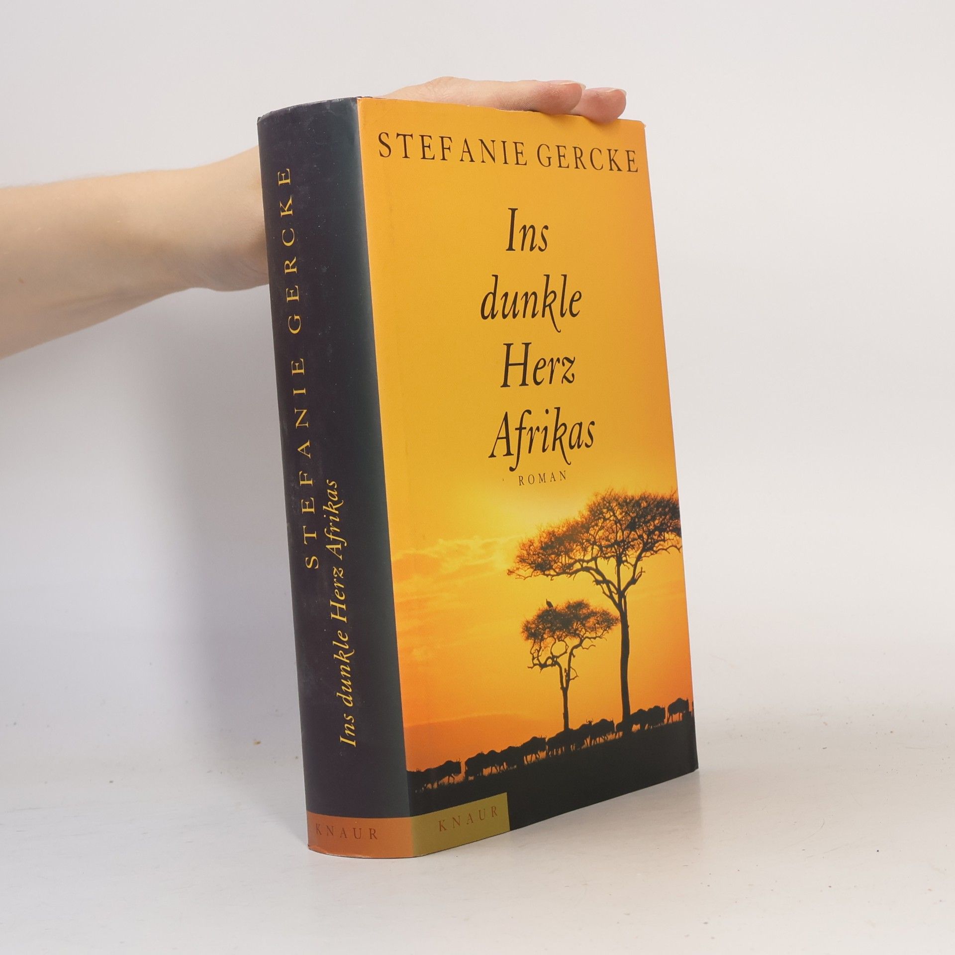 Stefanie Gercke Ins dunkle Herz Afrikas