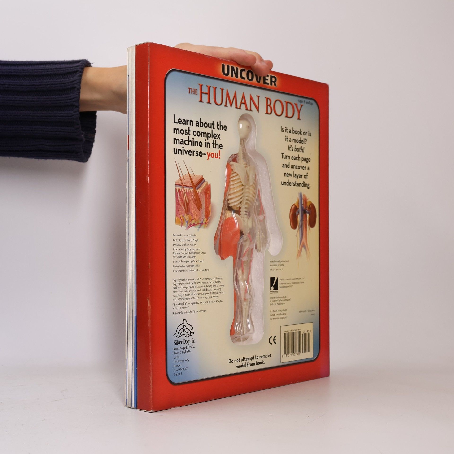 Luann Colombo The Human Body