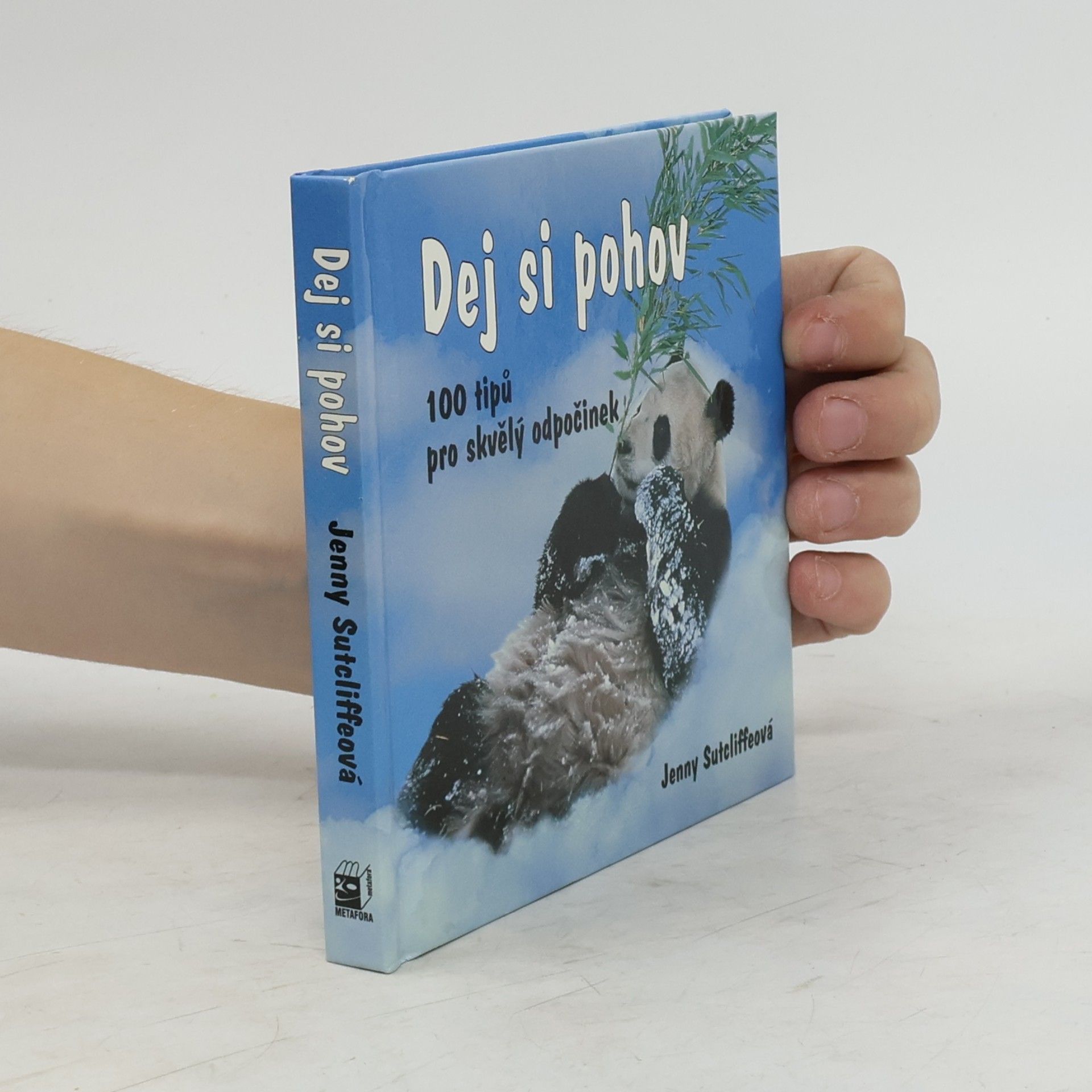 Dagmar Fořtová Dej si pohov. 100 tipů pro skvělý odpočinek