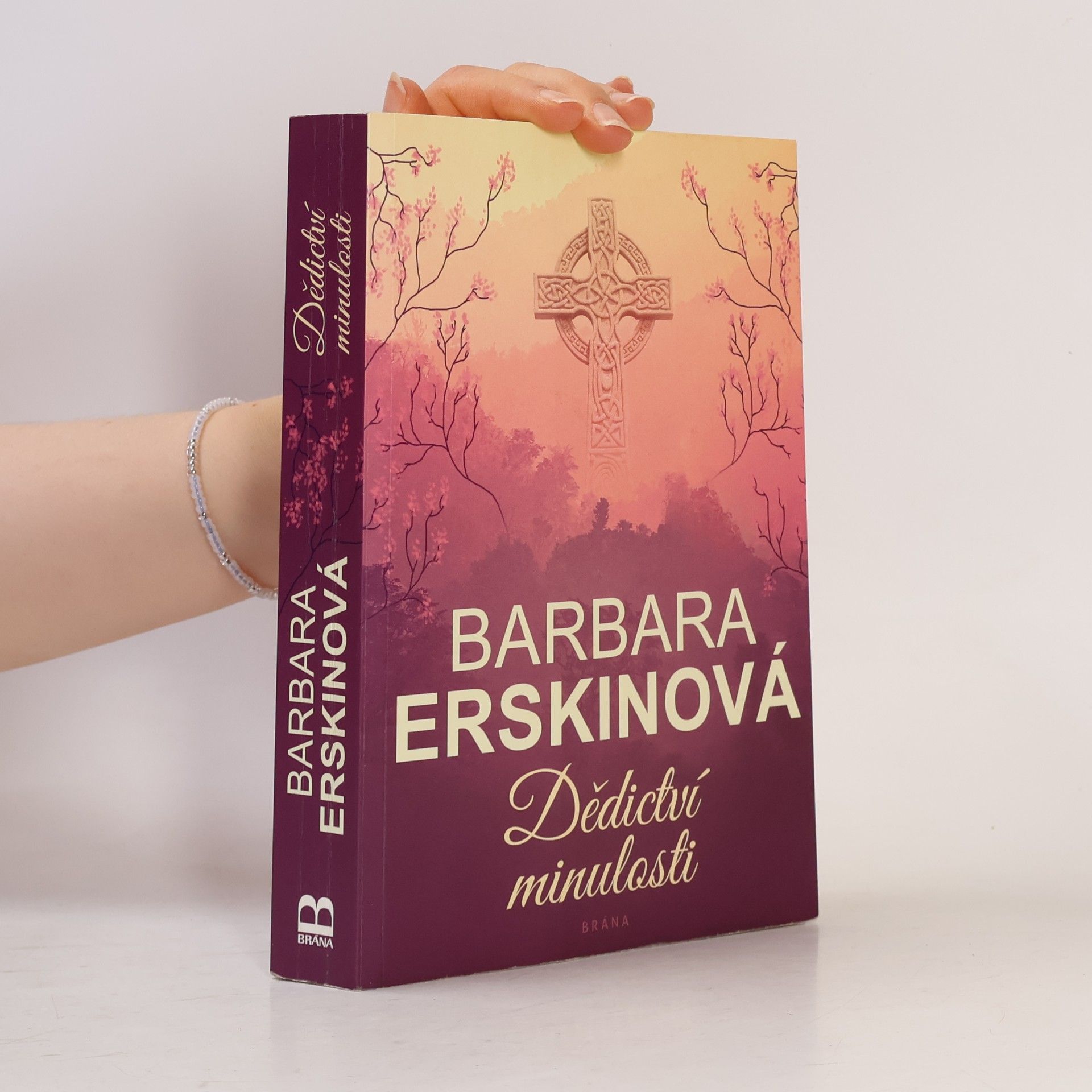 Barbara Erskine Dědictví minulosti