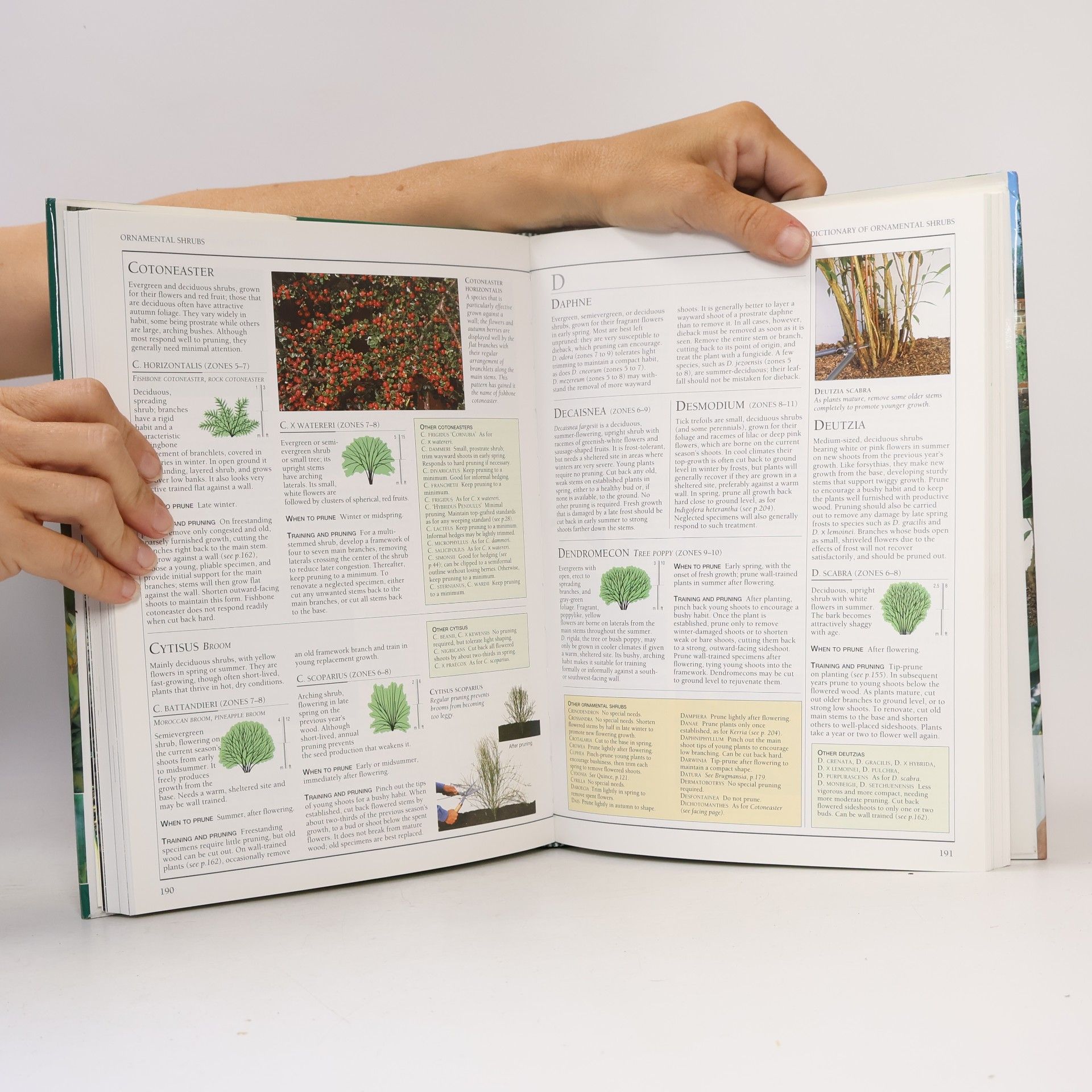 Christopher Brickell Pruning And Training