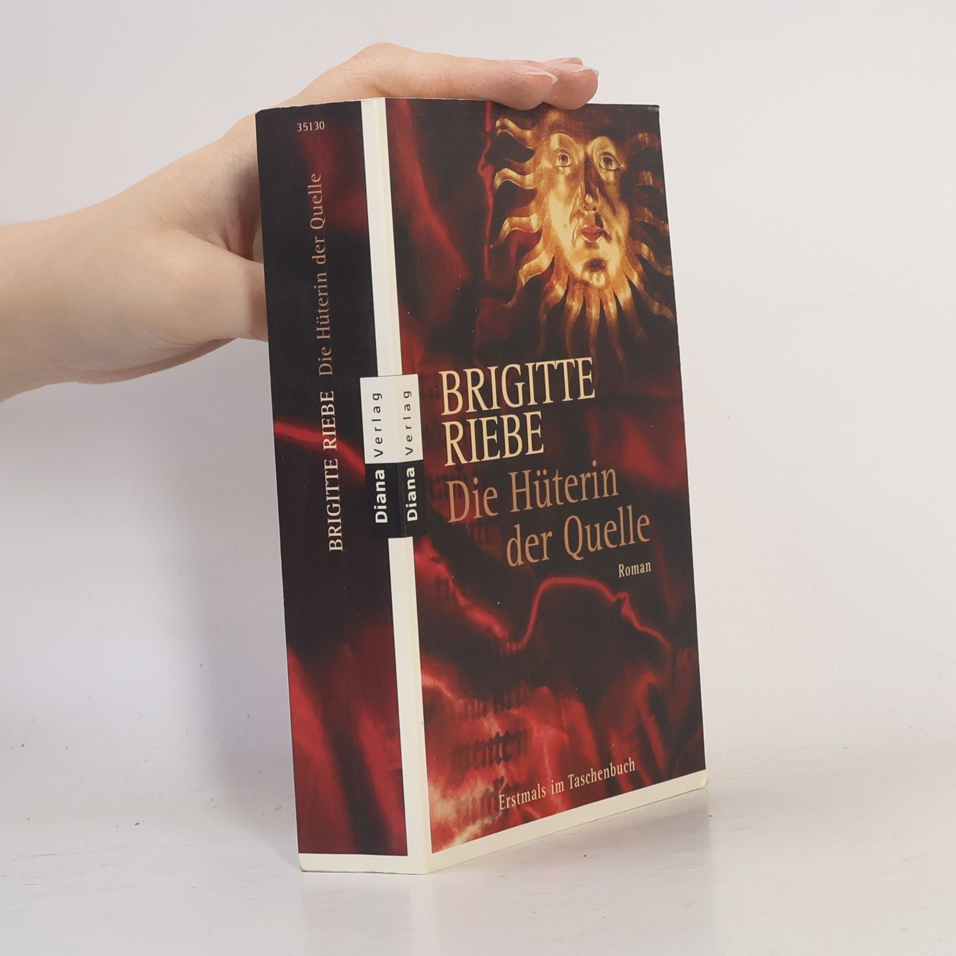 Brigitte Riebe Die Hüterin der Quelle