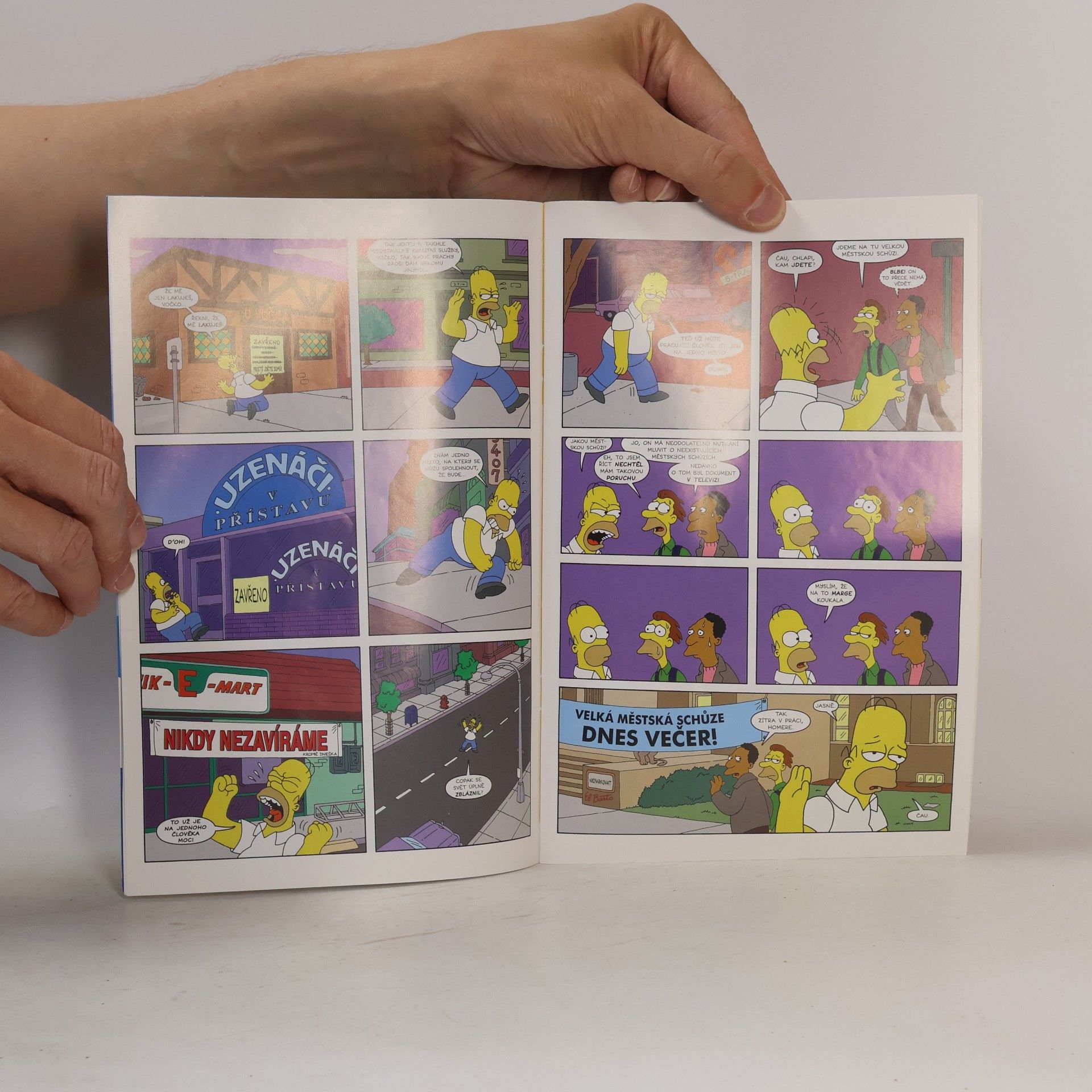 Matt Groening Simpsonovi 1/2026