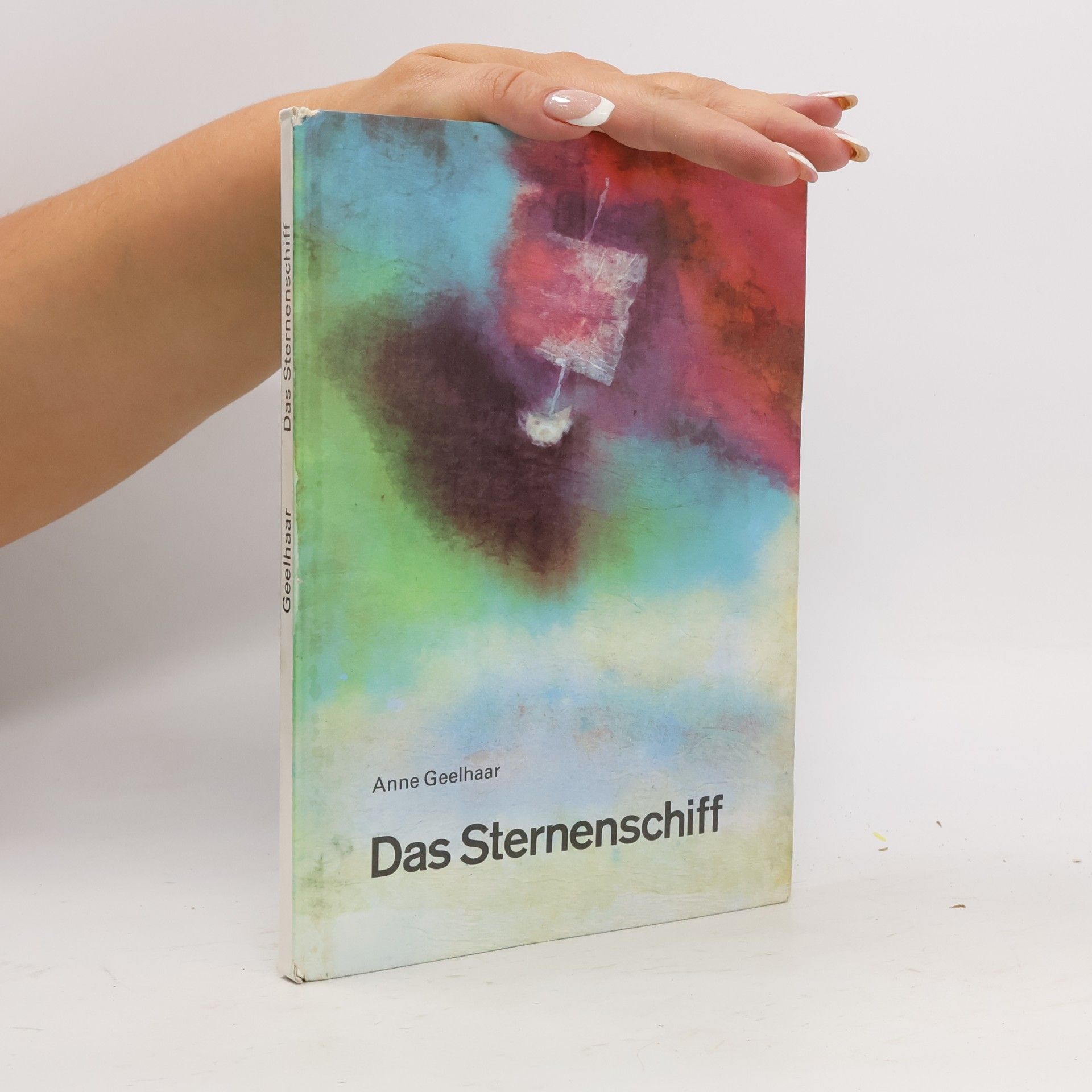 Anne Geelhaar Das Sternenschiff