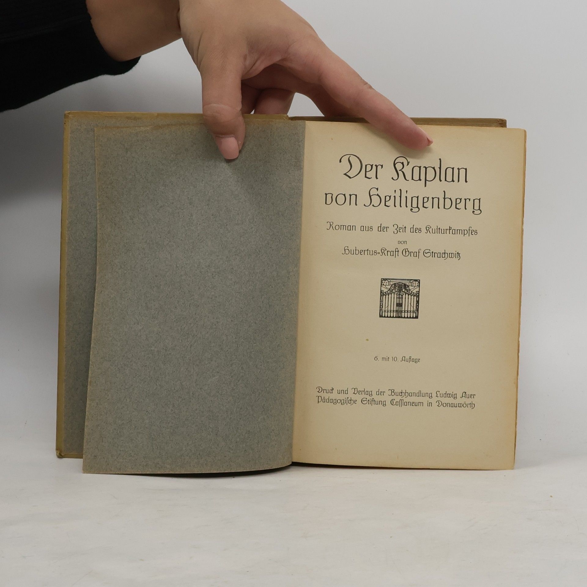 Hubertus-Kraft Graf Strachwitz Der Kaplan von Heiligenberg