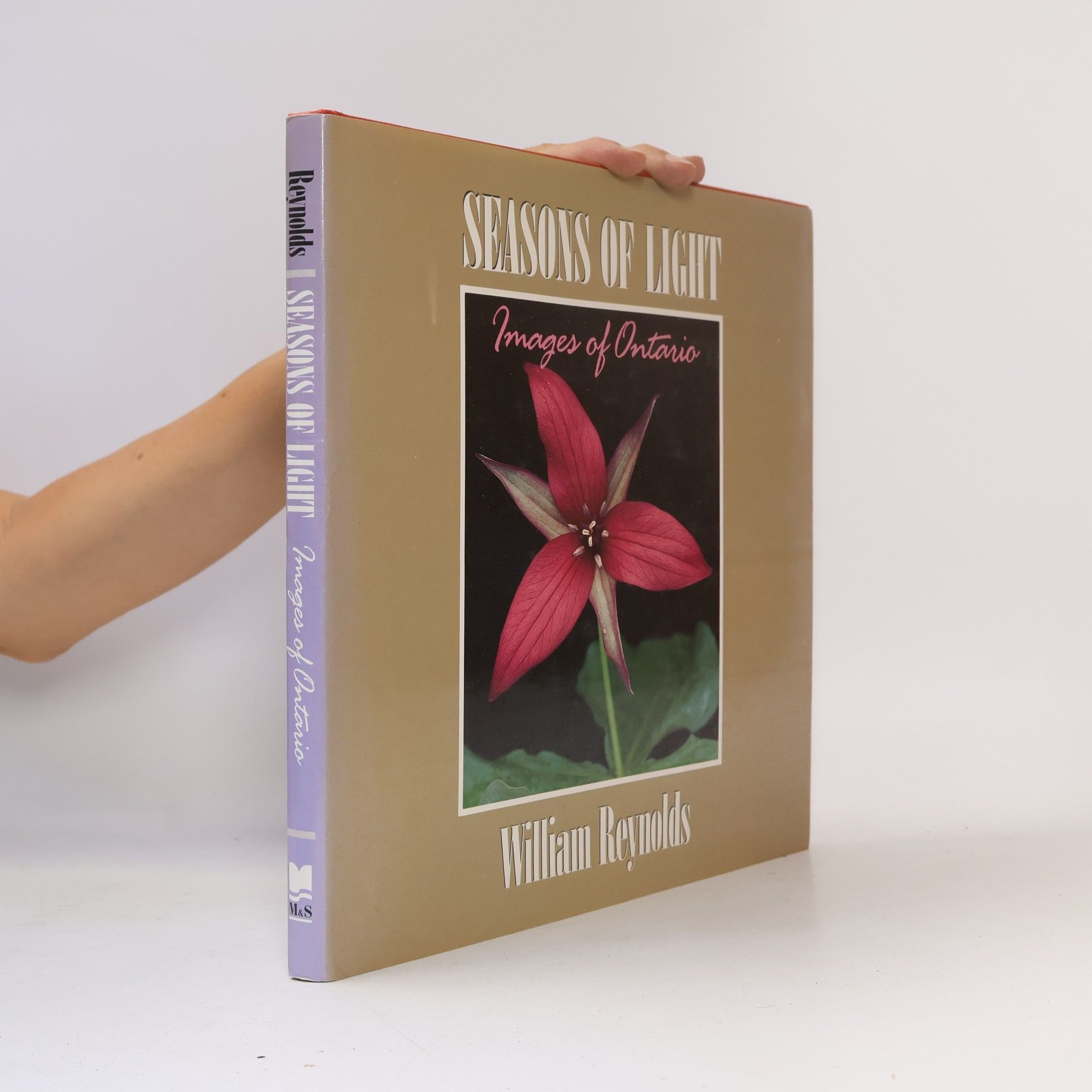 William J. Reynolds Seasons of Light