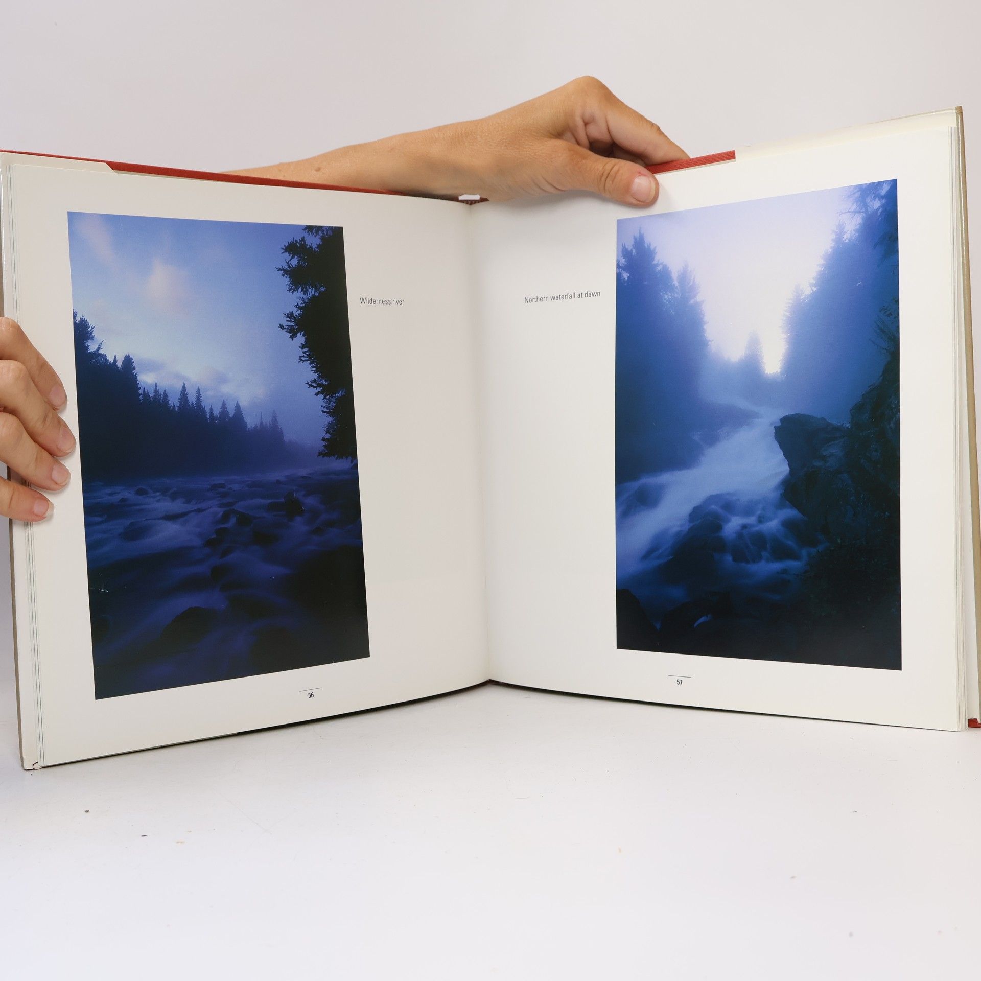 William J. Reynolds Seasons of Light