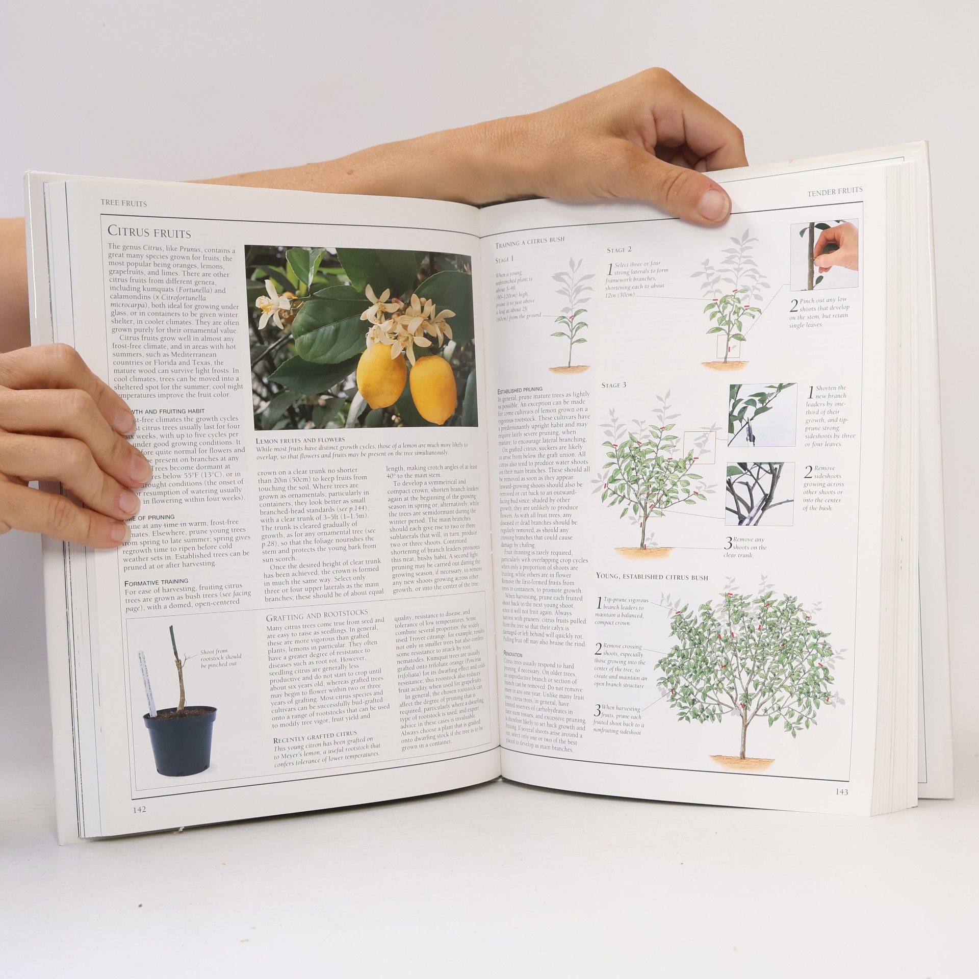 Christopher Brickell The American Horticultural Society Pruning and Training
