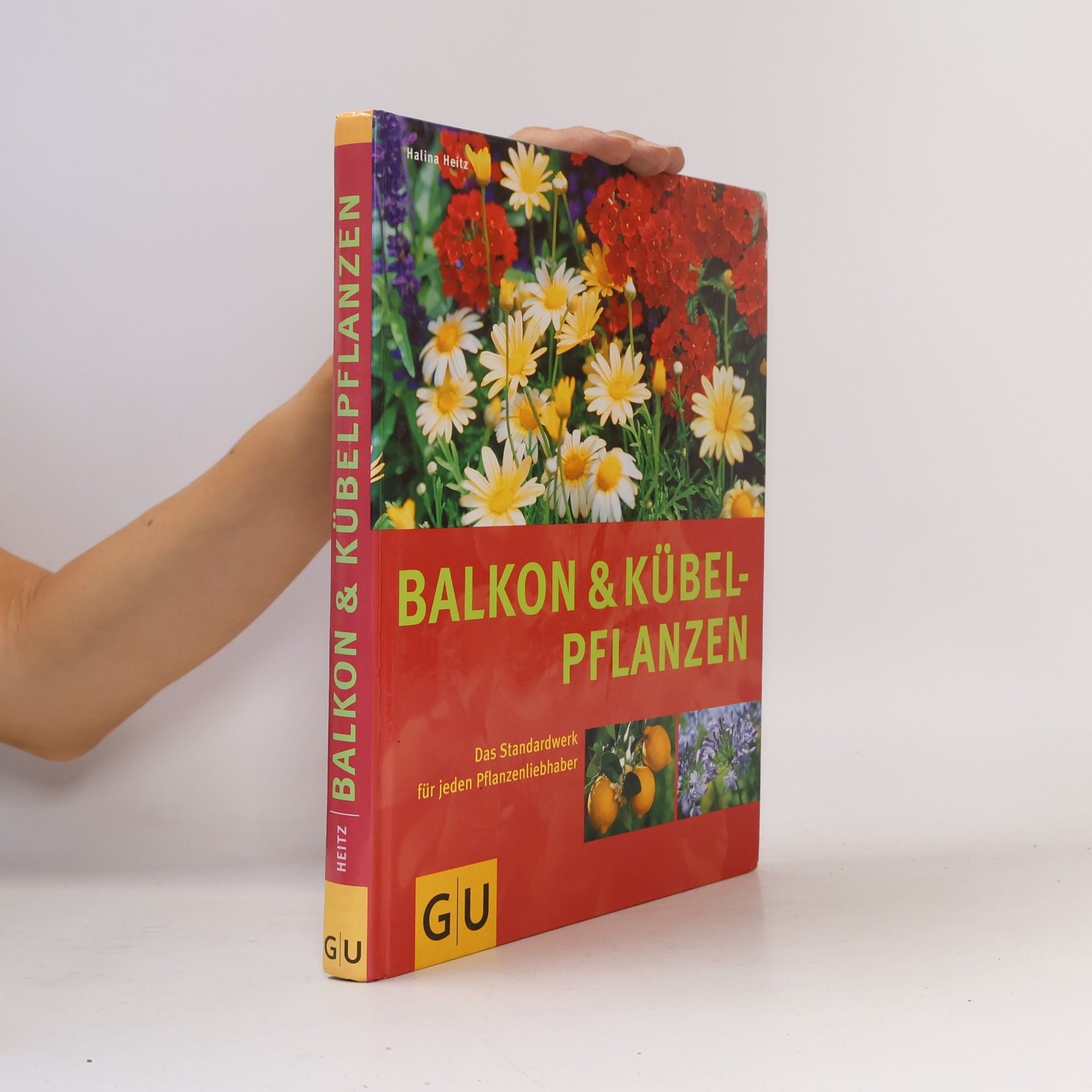 Halina Heitz Balkon und Kübelpflanzen