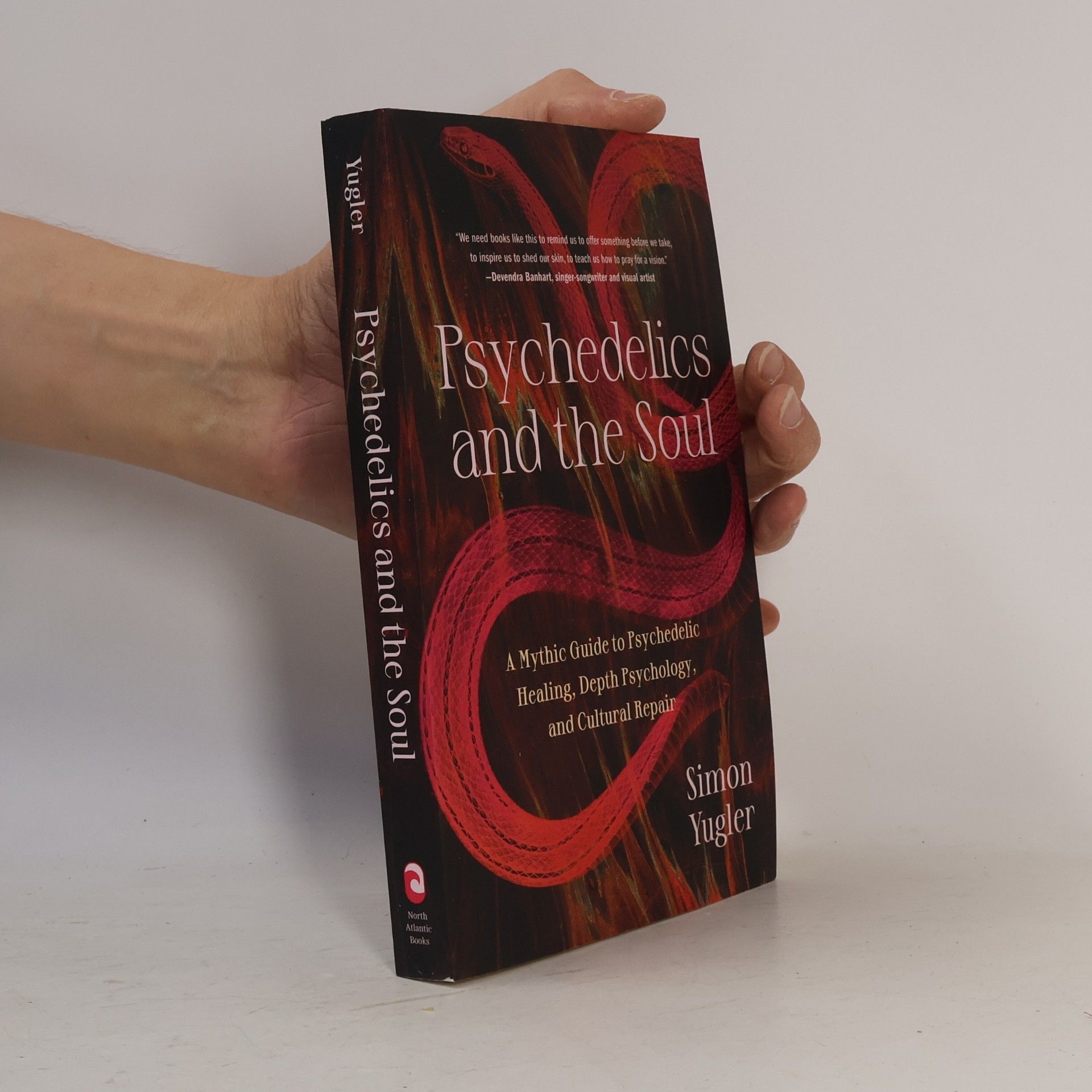 Simon Yugler Psychedelics and the Soul