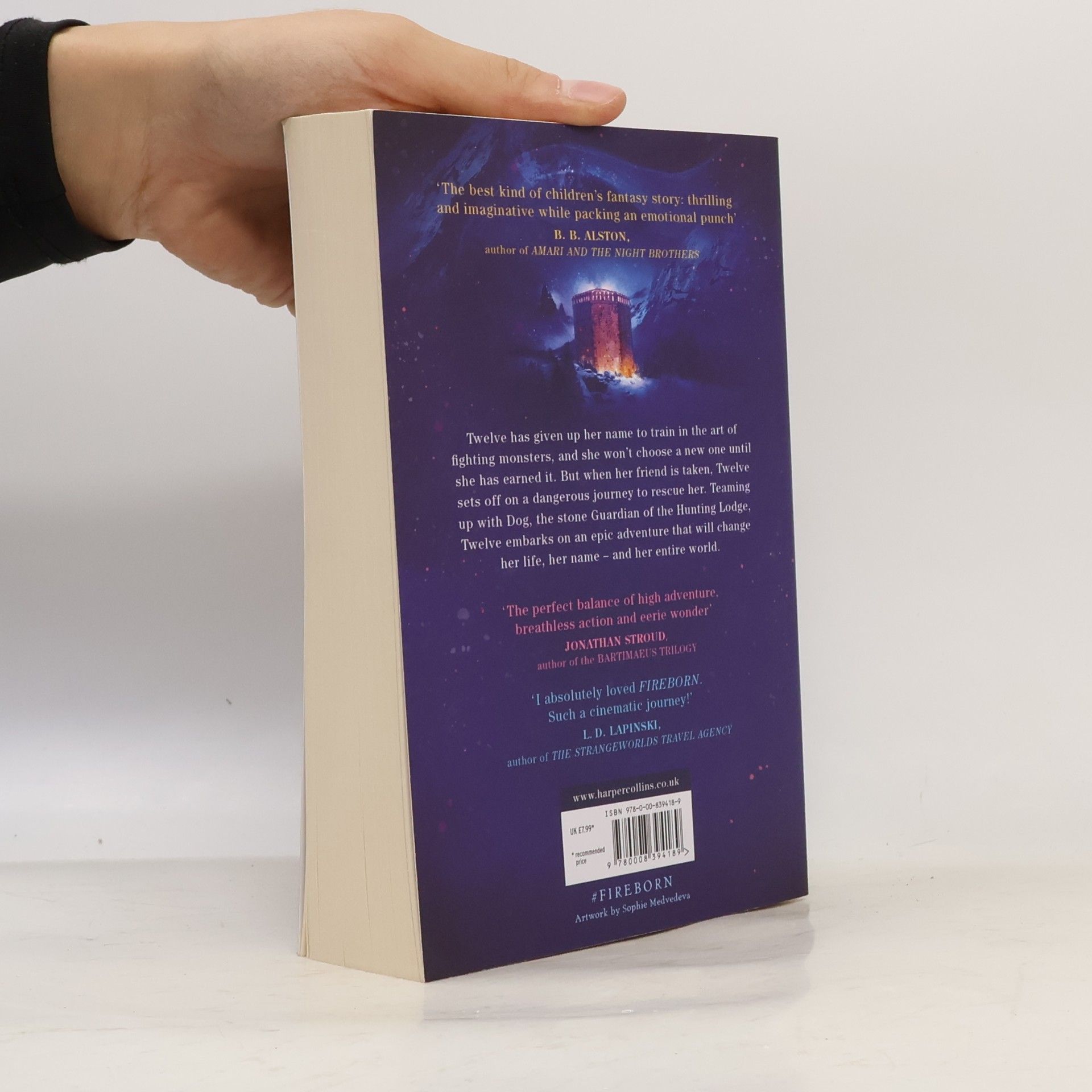 Aisling Fowler Fireborn: Twelve and the Frozen Forest