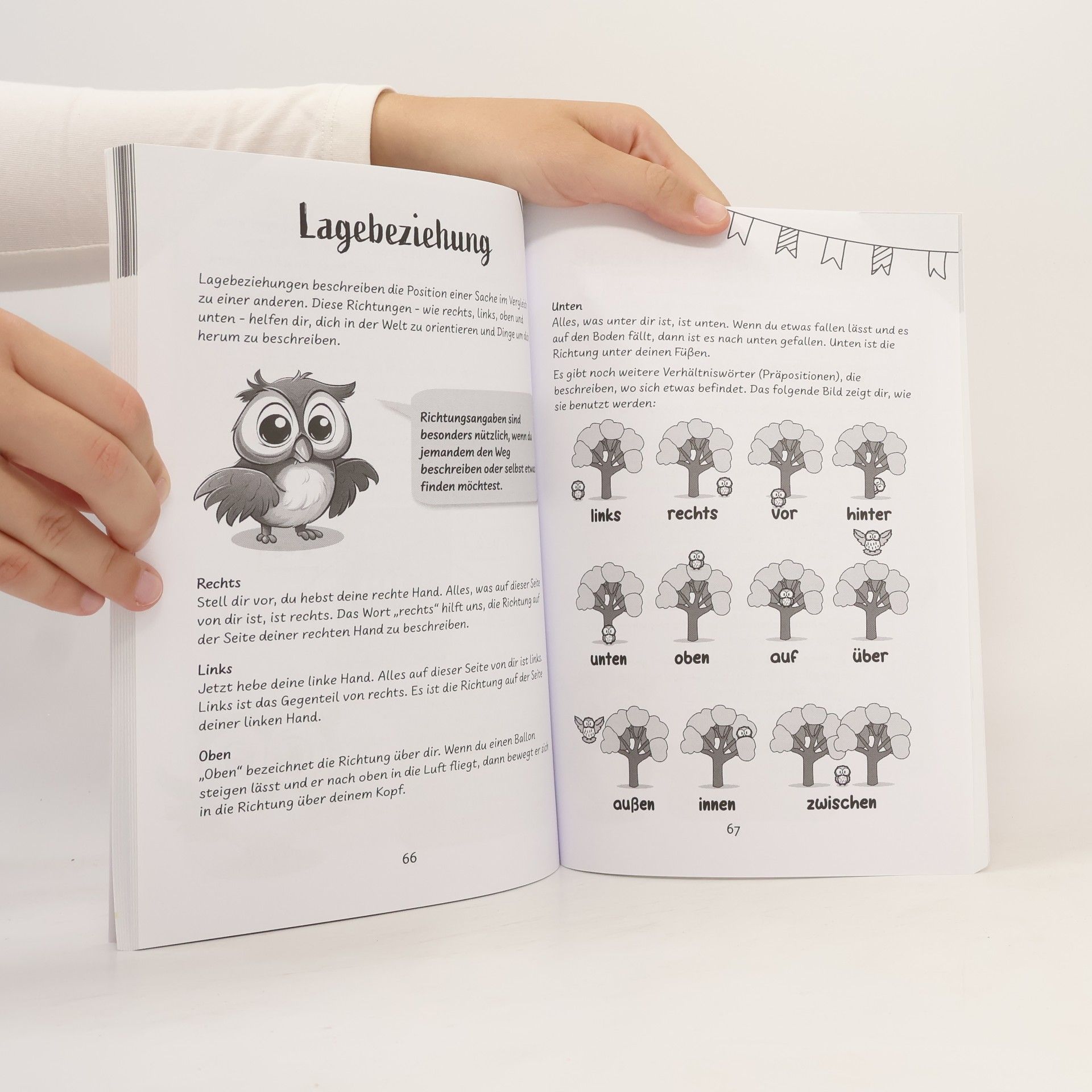 Jana Wolkenflug 5-Minuten-Zahlenspiele mit Ella Eule – Mathe 1. Klasse – Spielend leicht Rechnen lernen mit über 100 kindgerechten Ideen – Sicher Rechnen bis 20 mit den verliebten Zahlen und weiteren Tricks