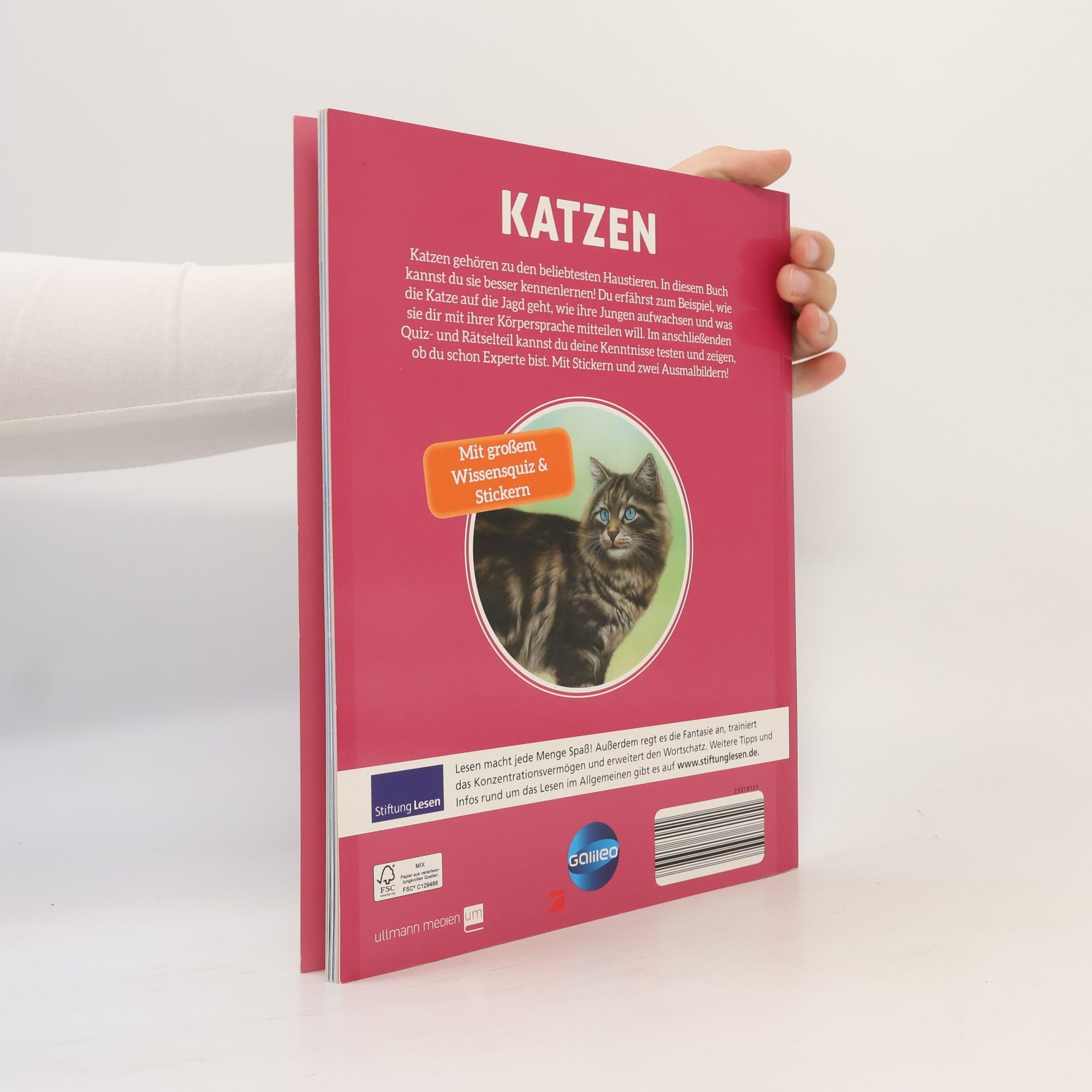 kolektiv Katzen verspielte Jäger