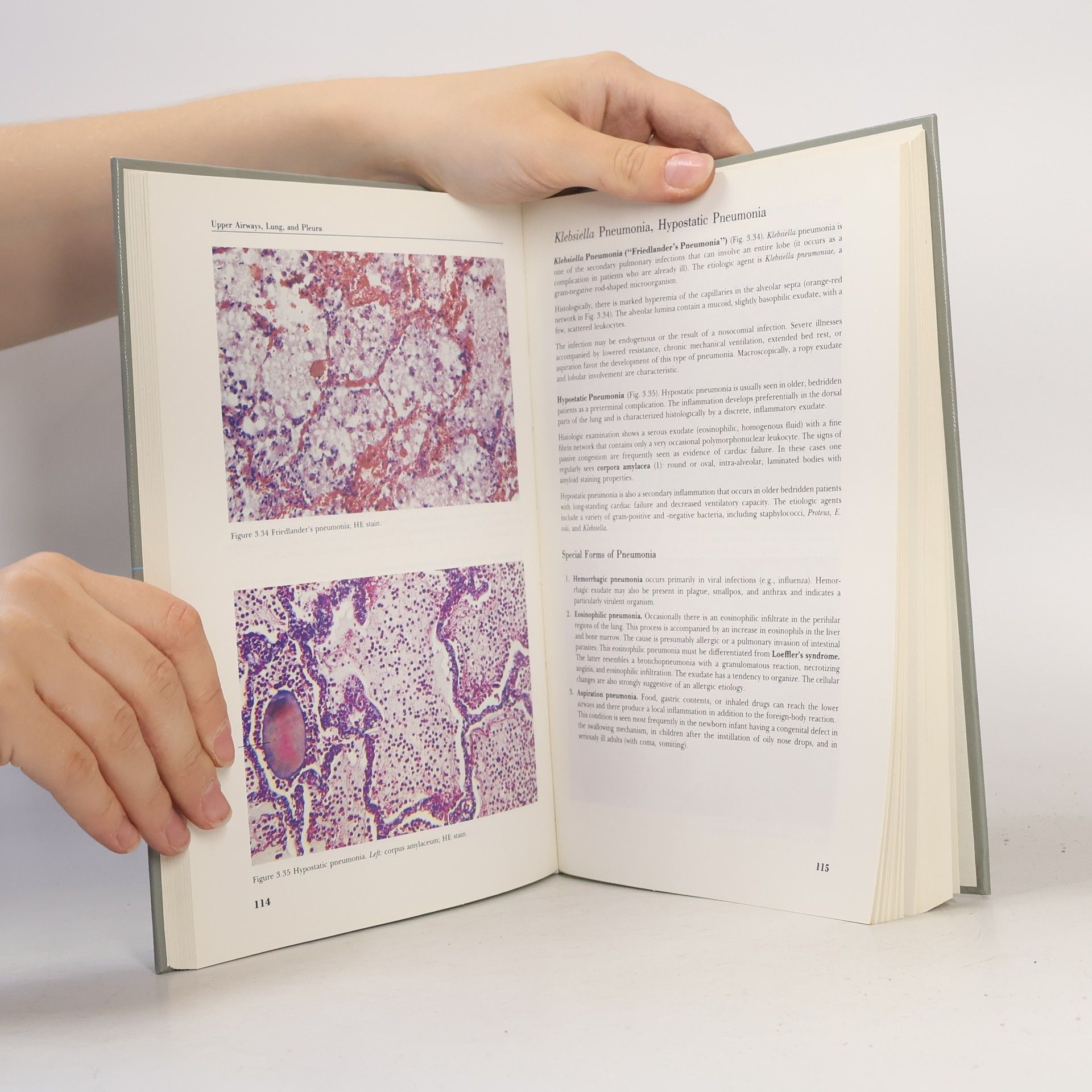 Thomas Sandritter Sandritter Histopathology