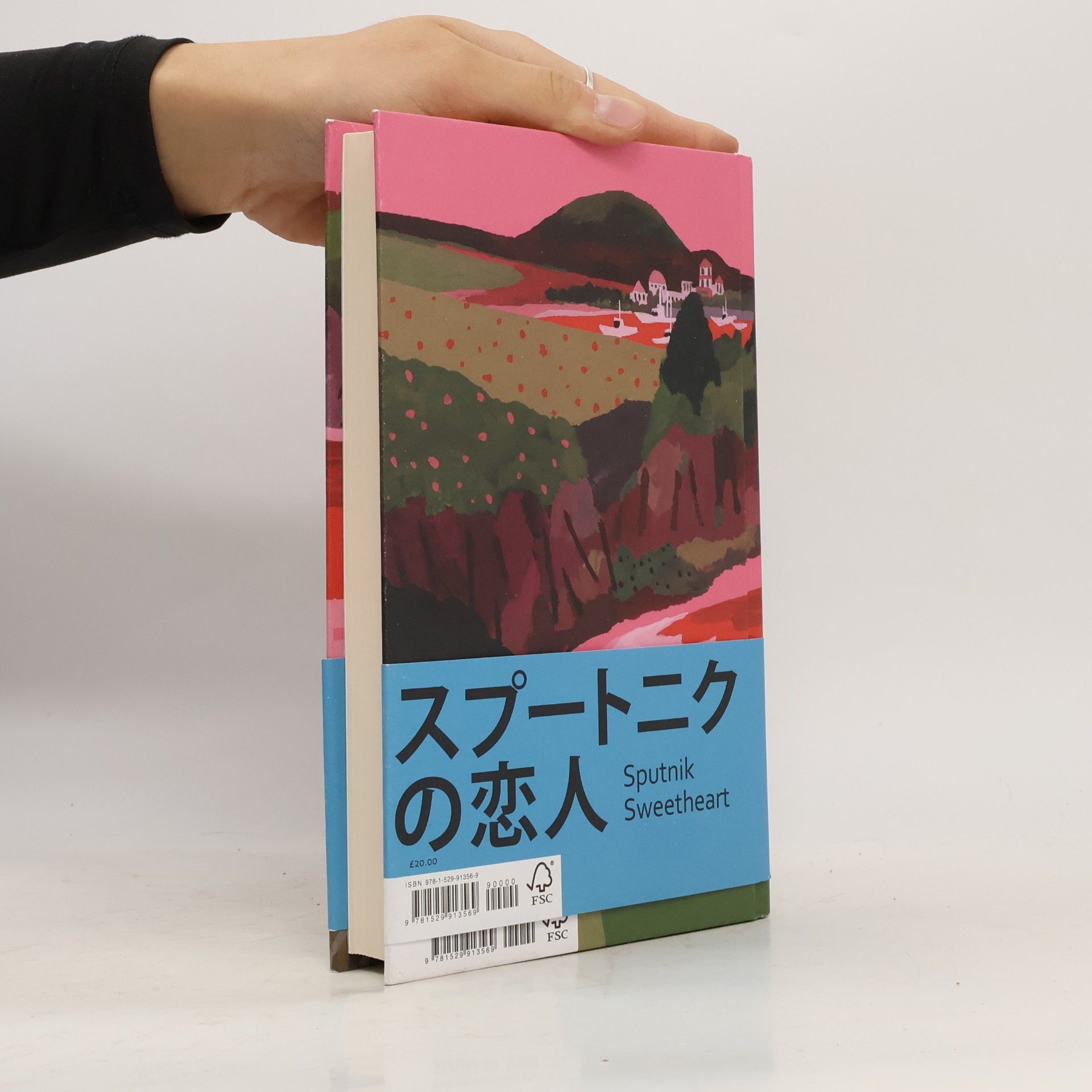 Haruki Murakami Sputnik Sweetheart