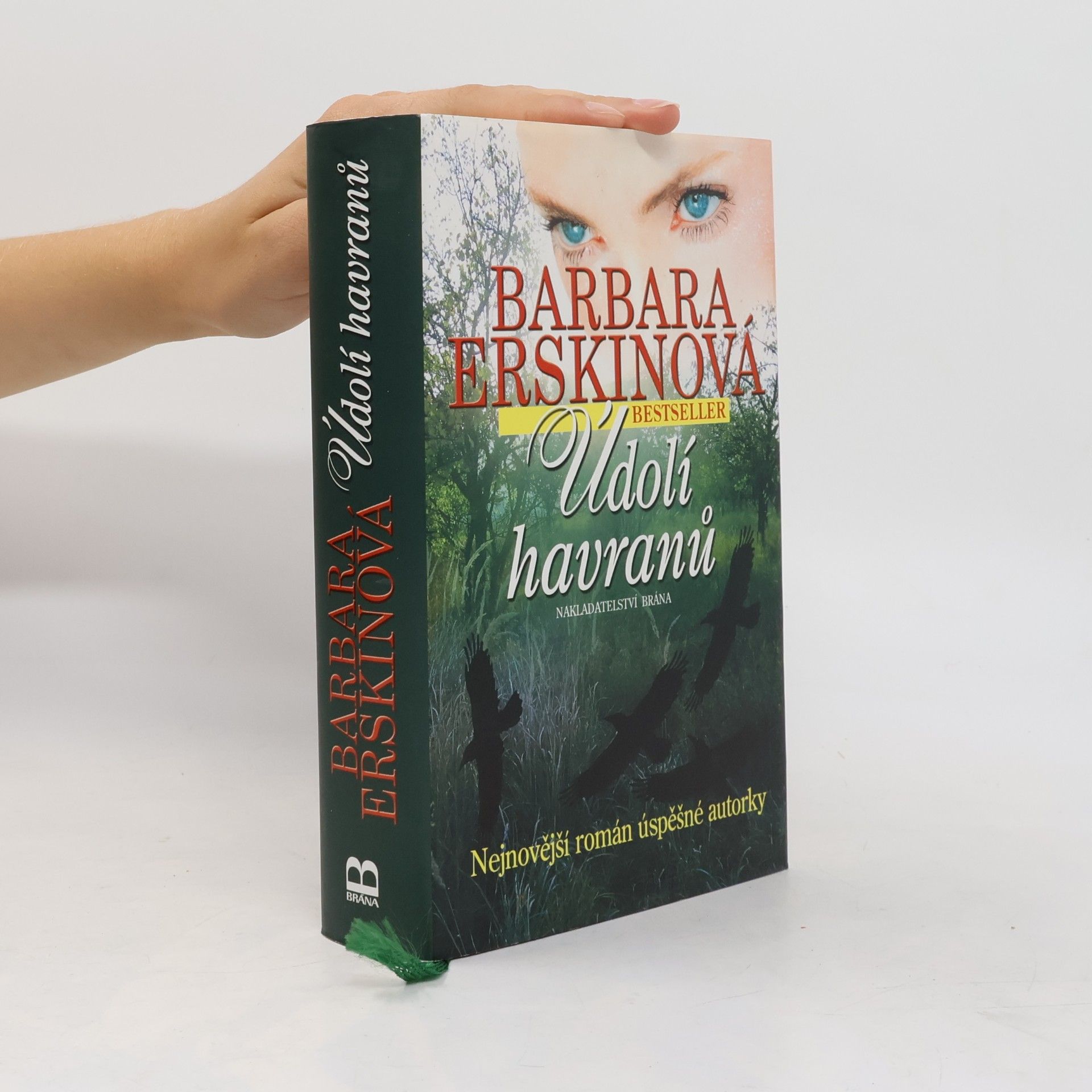 Barbara Erskine Údolí havranů