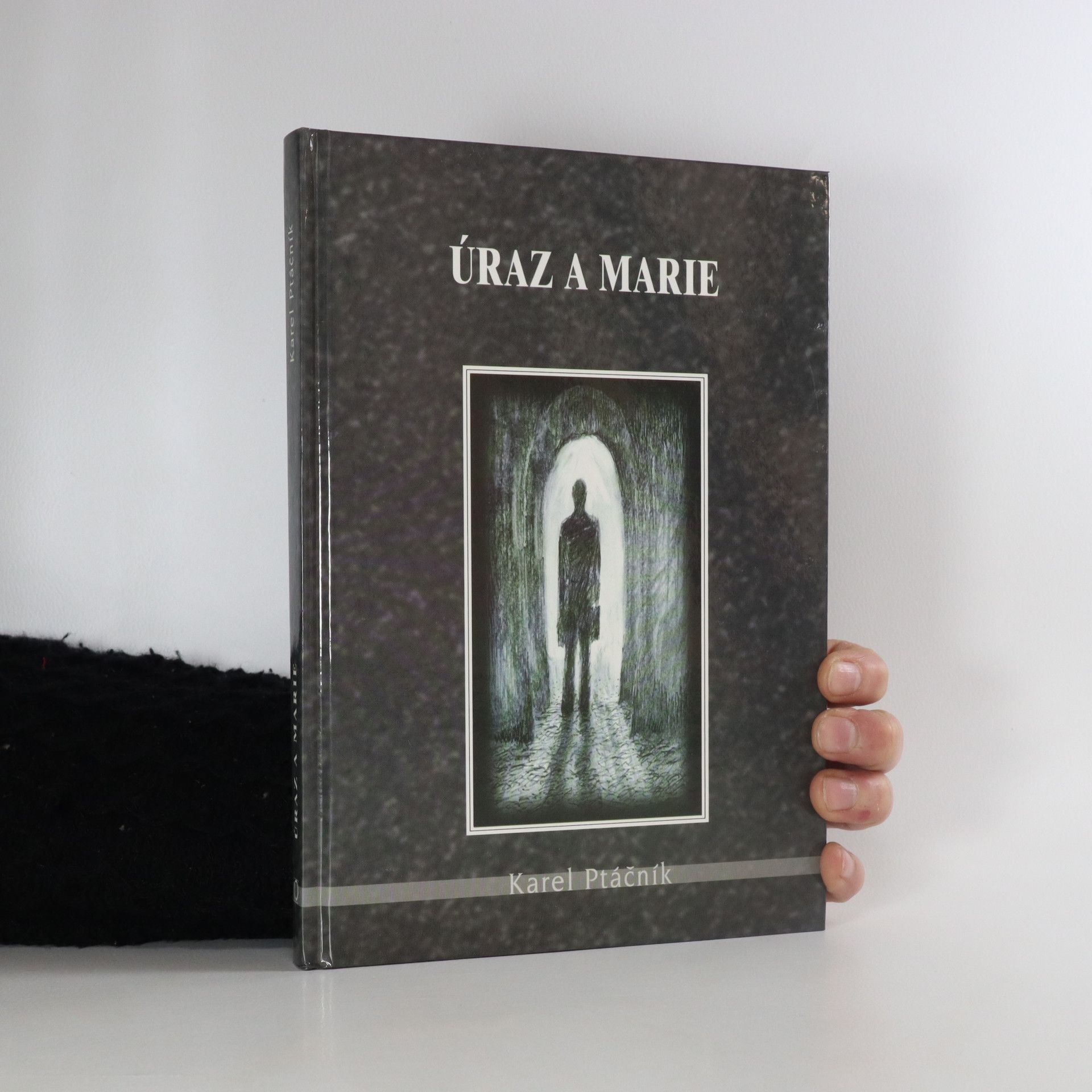 Karel Ptáčník Úraz a Marie