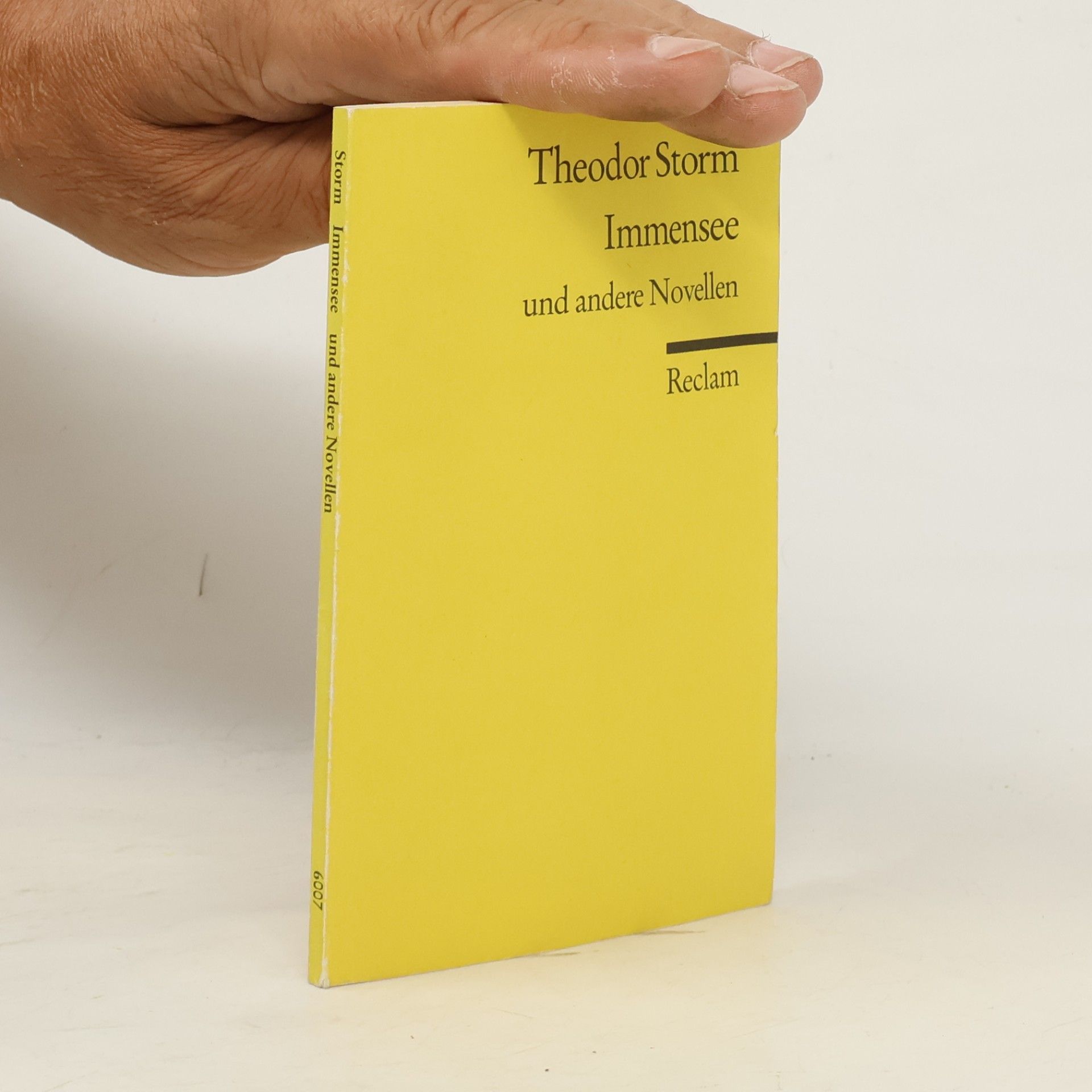 Theodor Storm Immensee und andere Novellen