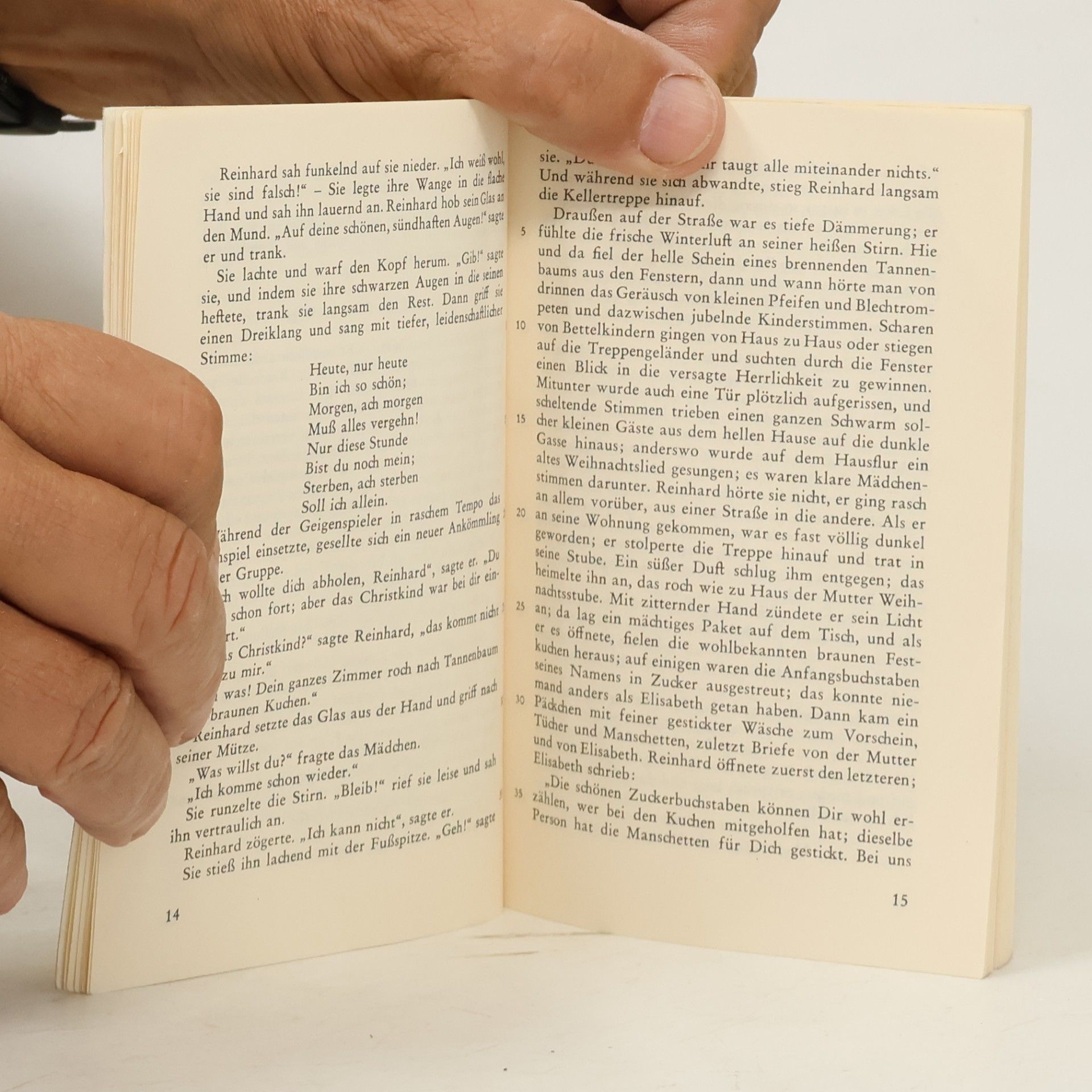 Theodor Storm Immensee und andere Novellen