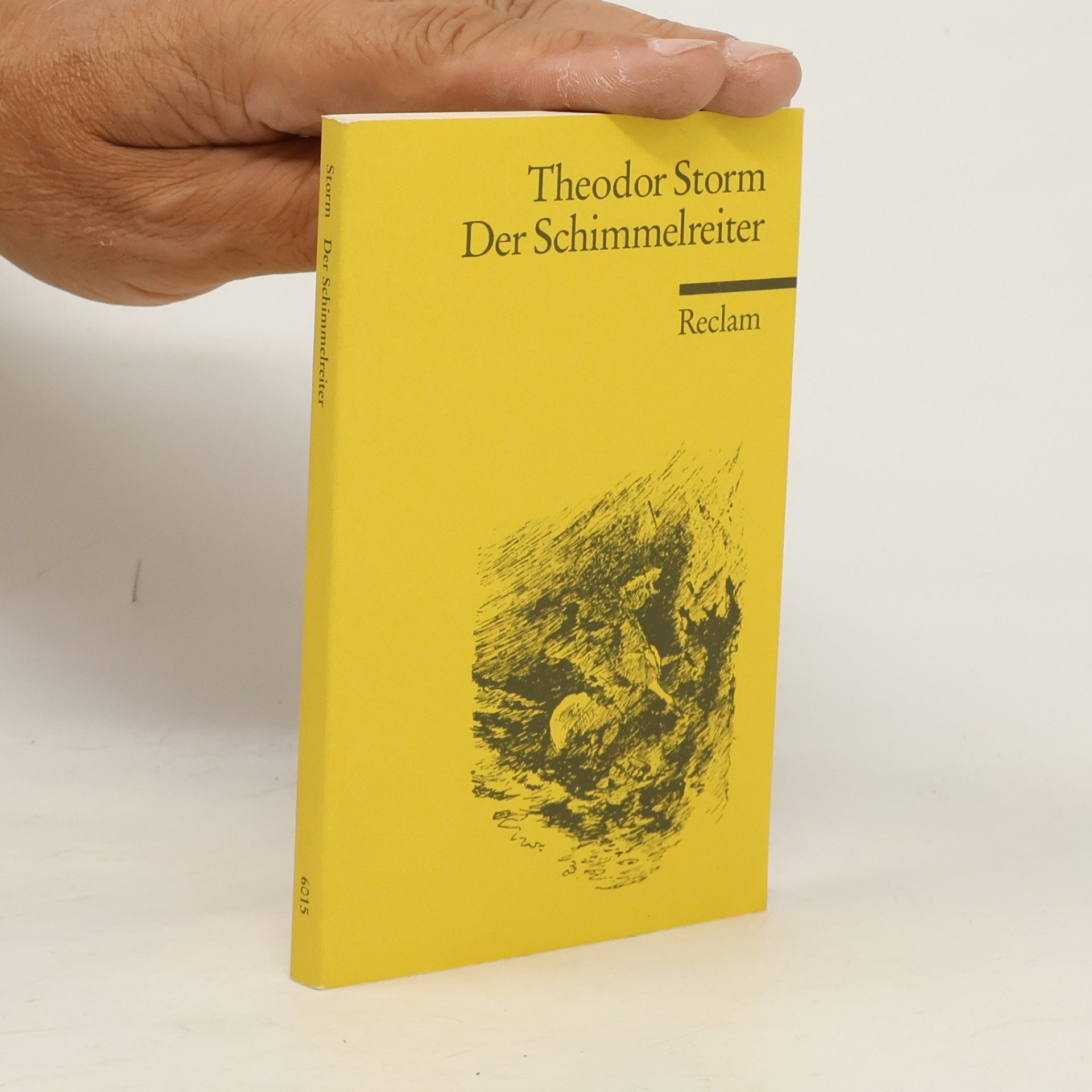 Theodor Storm Der Schimmelreiter