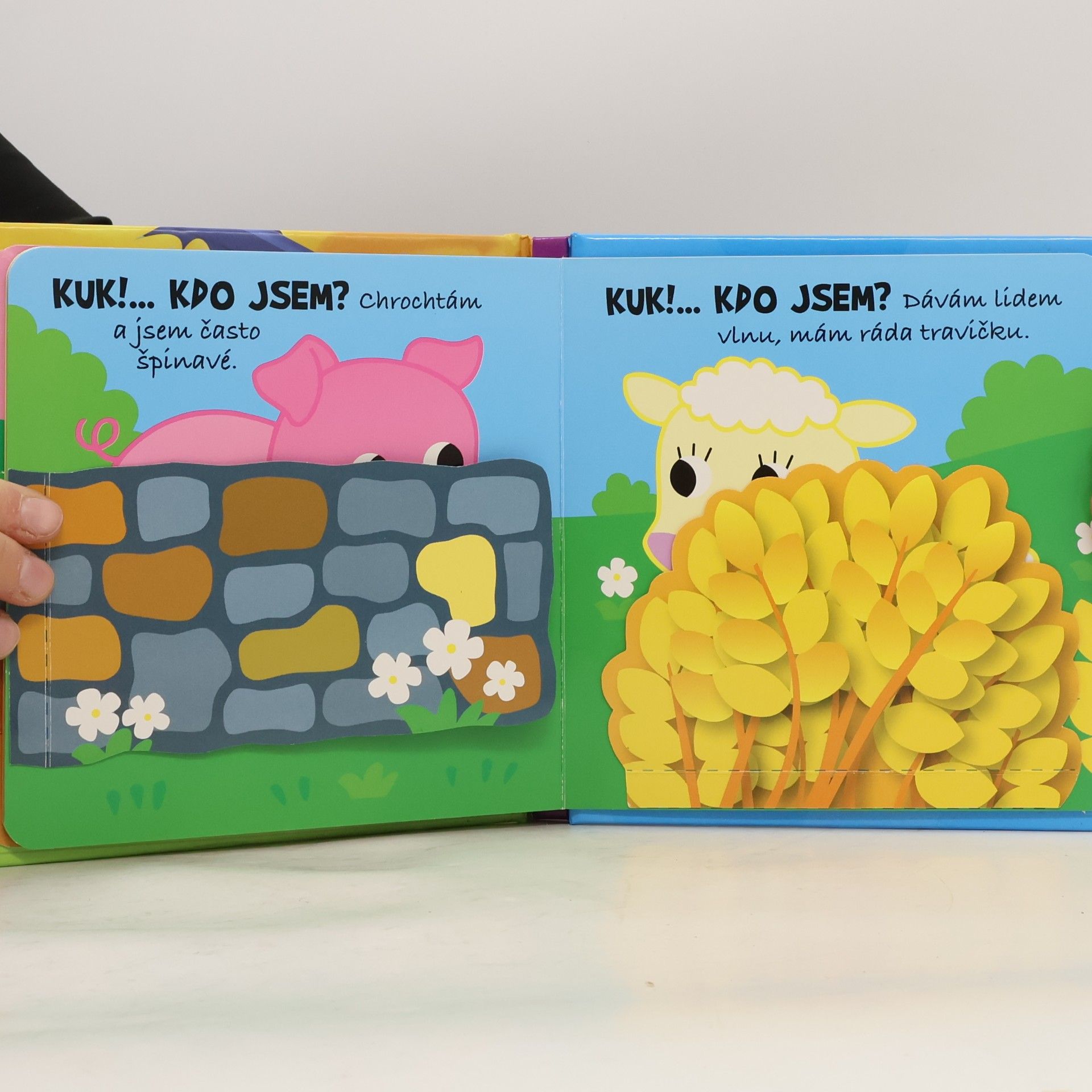 Dita Křišťanová Kuk!... Hádej! - Kdo jsem? Naše zvířátka