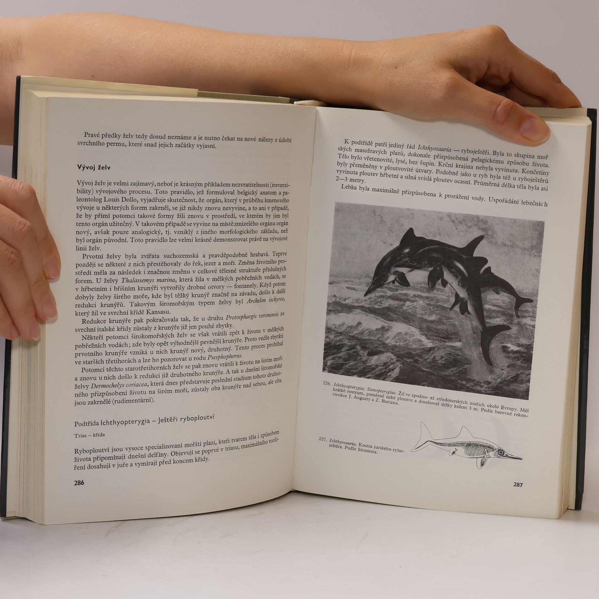 Zdeněk V. Špinar Paleontologie obratlovců