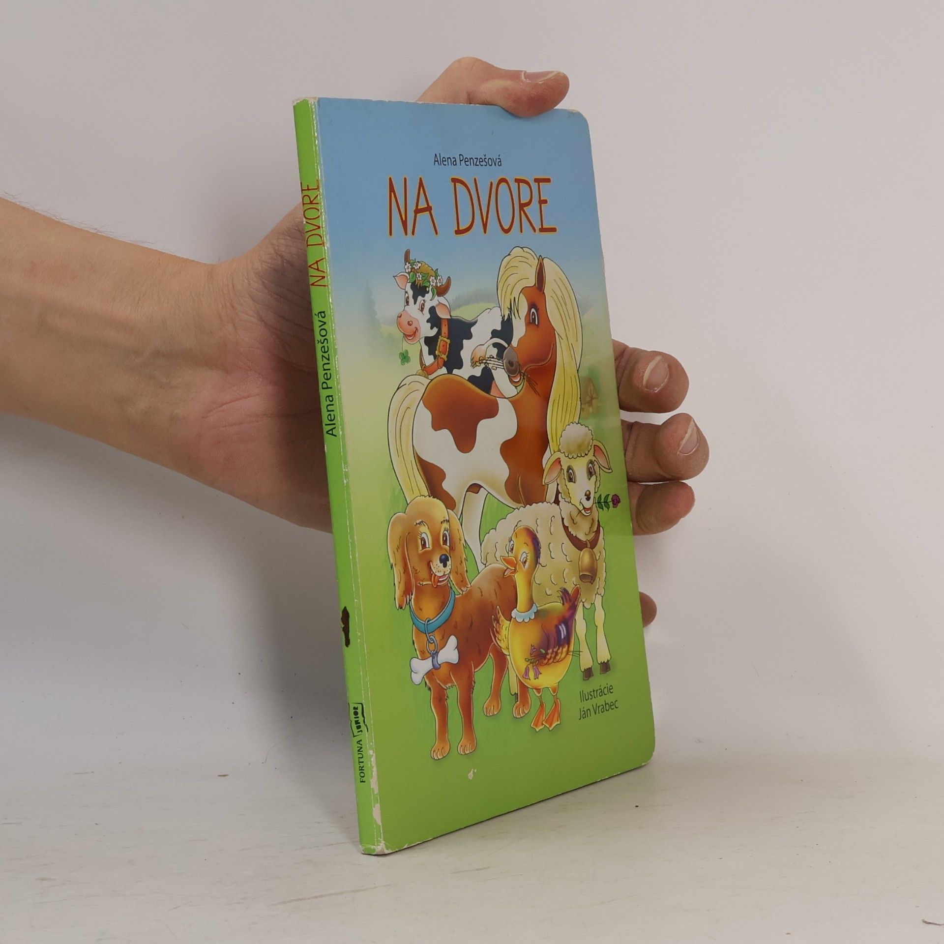 Alena Penzešová Na dvore