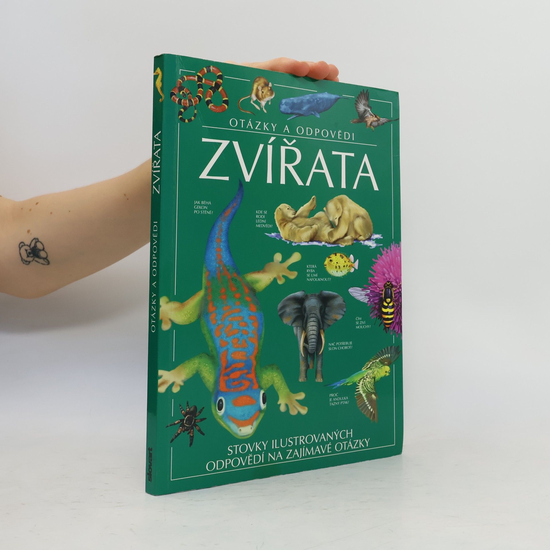 Jen Green Zvířata. Otázky a odpovědi