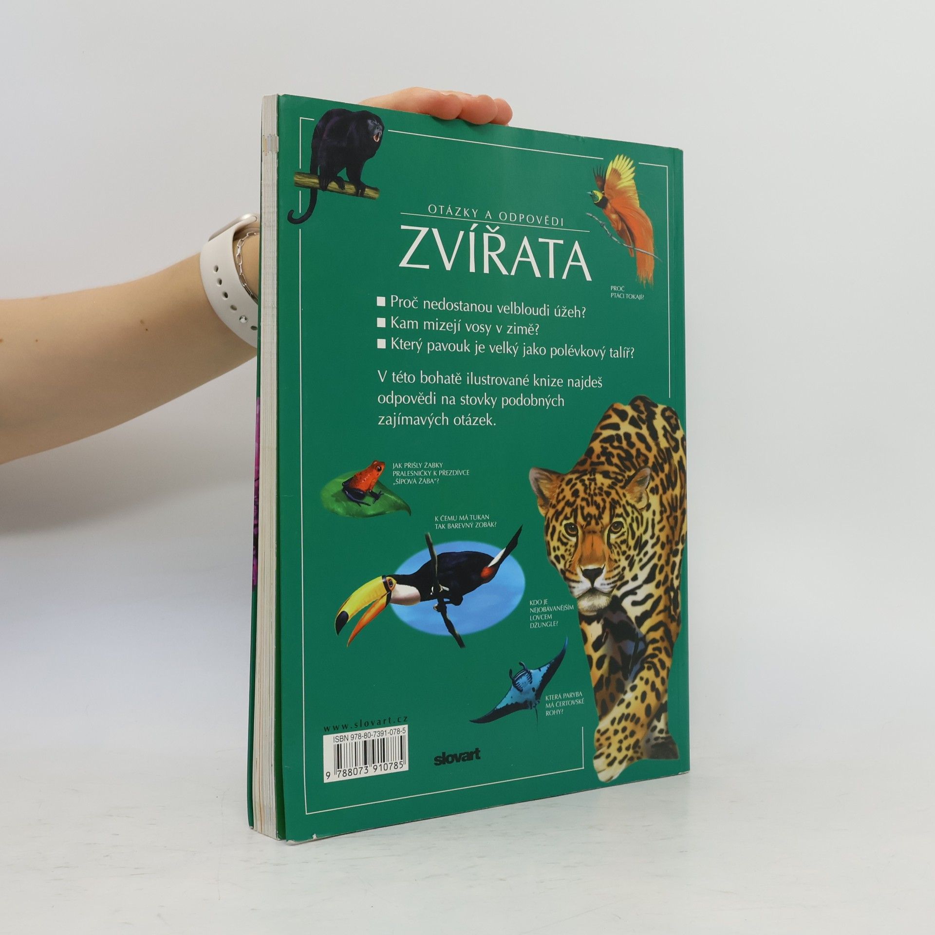 Jen Green Zvířata. Otázky a odpovědi