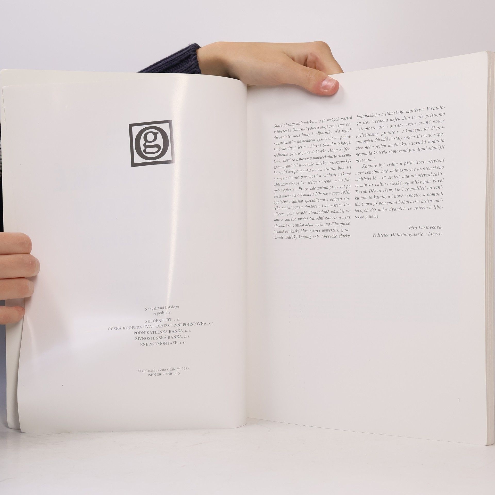 Hana Seifertová Nizozemské malířství 16.-18. století. Ze sbírek Oblastní galerie v Liberci