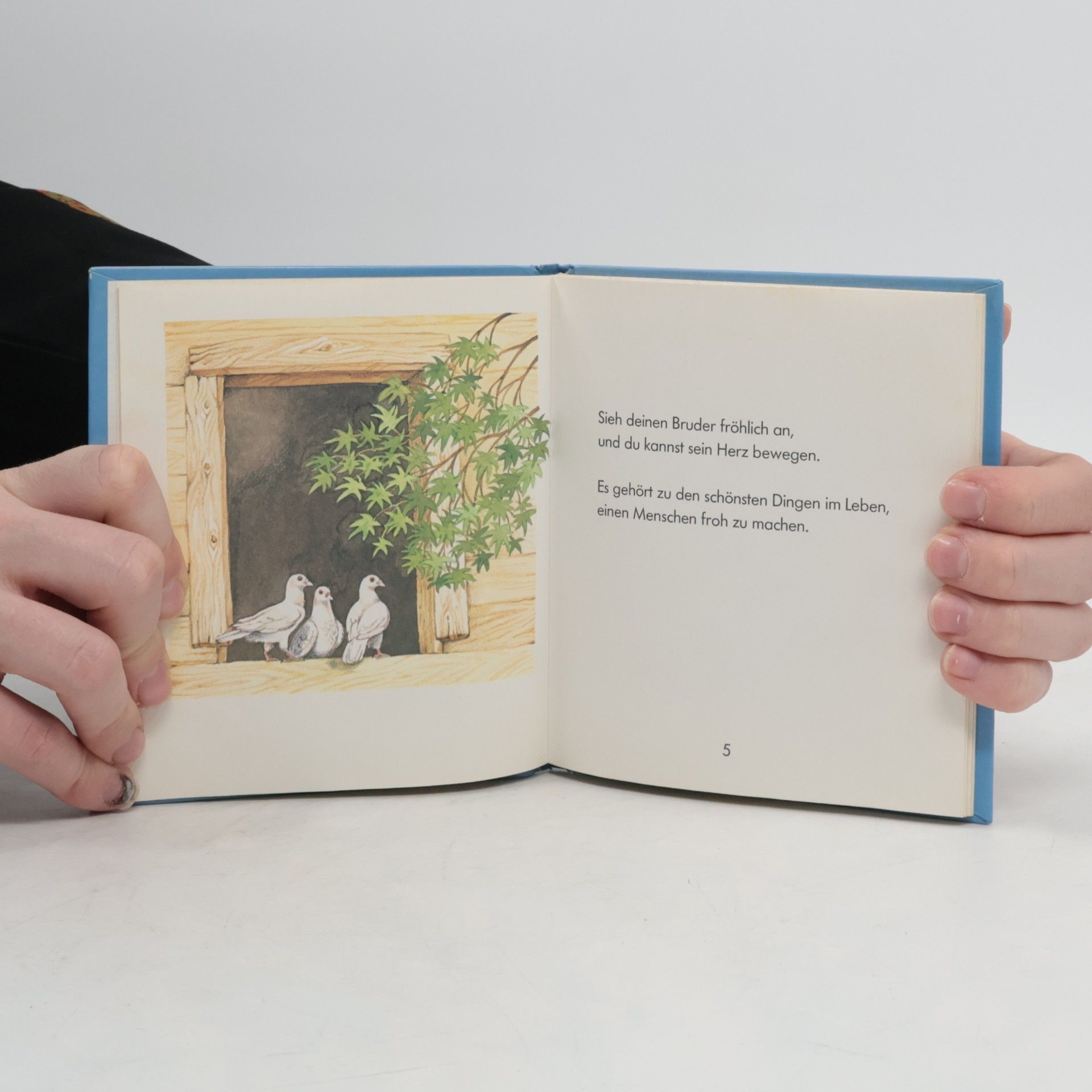 Various authors Das kleine Buch der Fröhlichkeit
