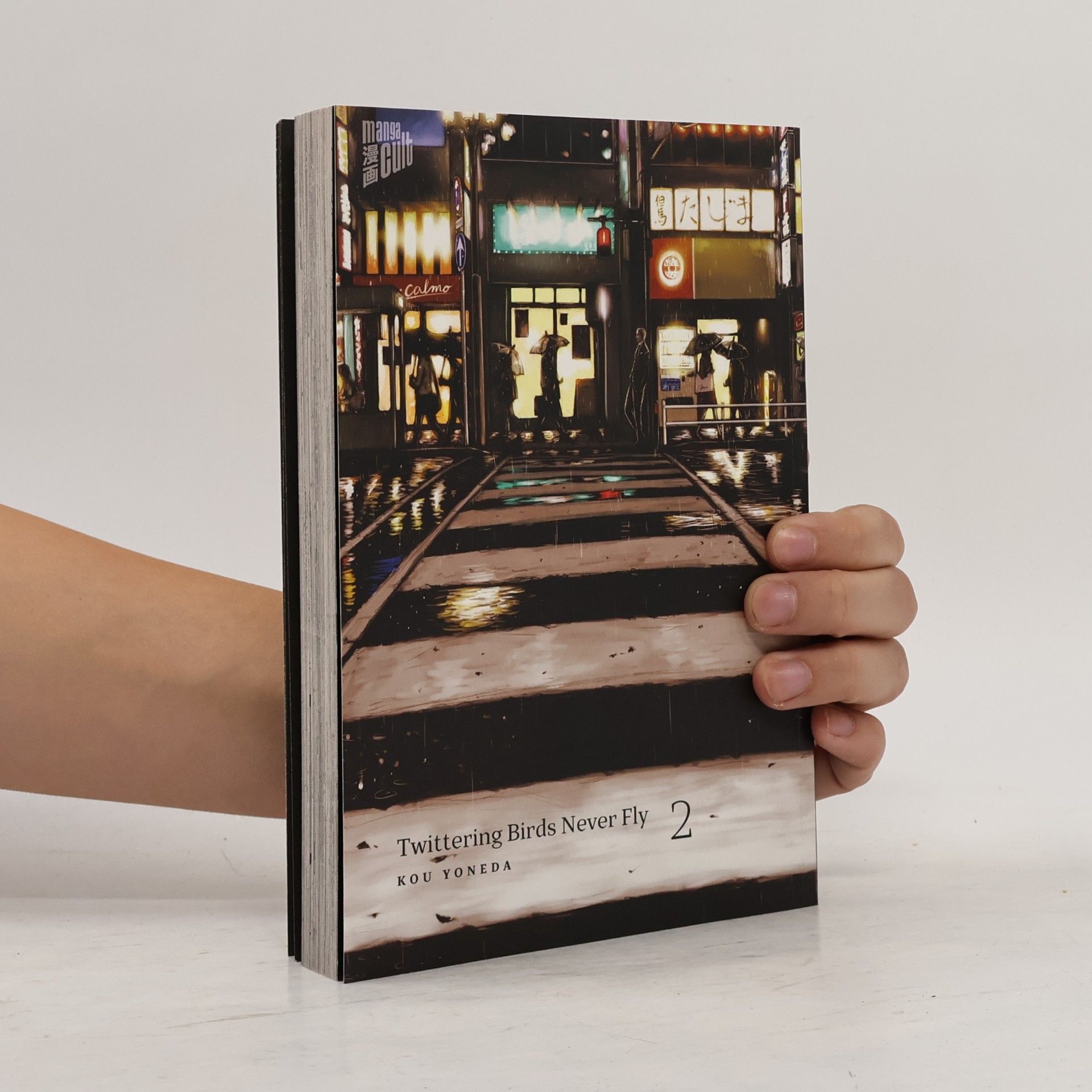 Kou Yoneda Twittering Birds Never Fly 2