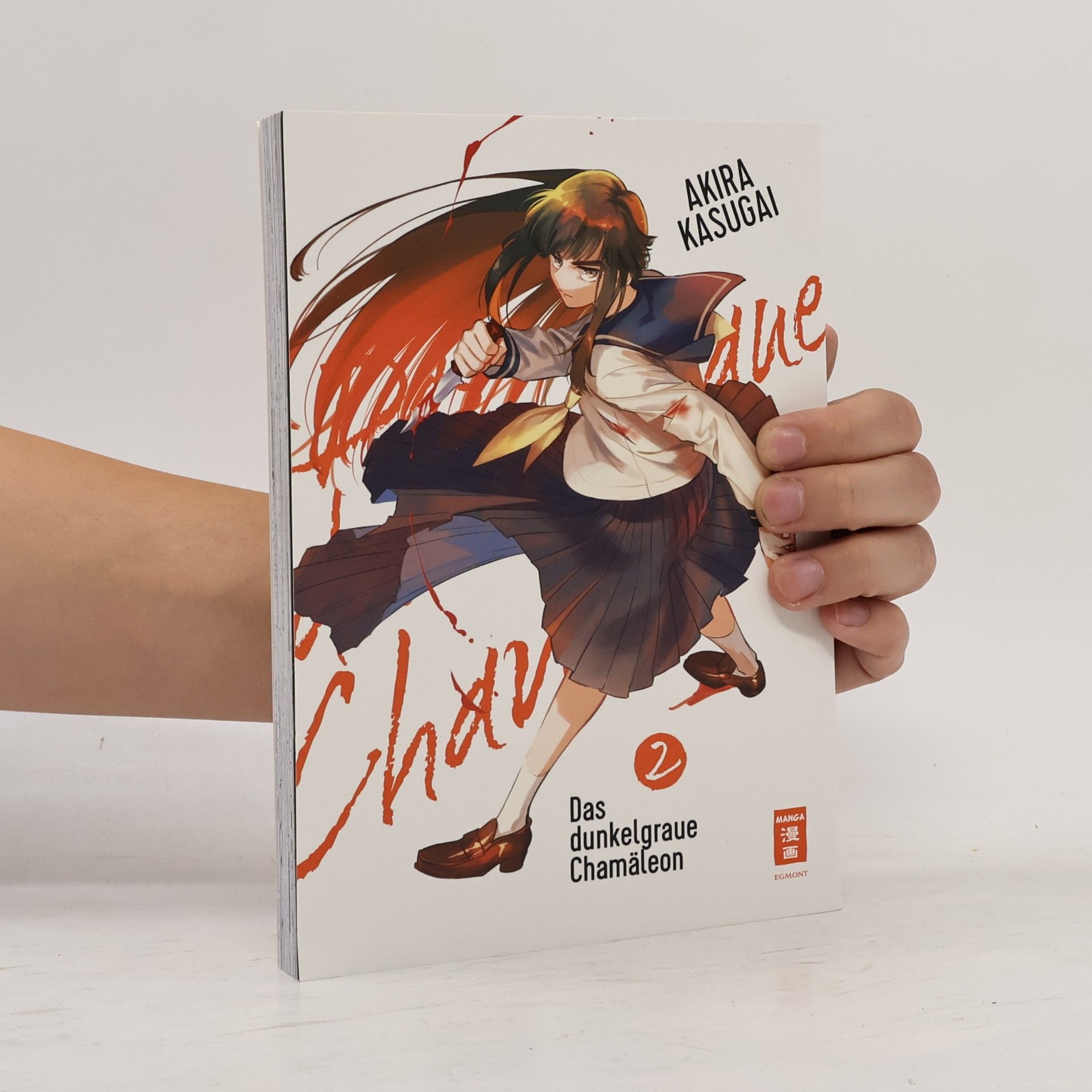 Akira Kasugai Das dunkelgraue Chamäleon 02