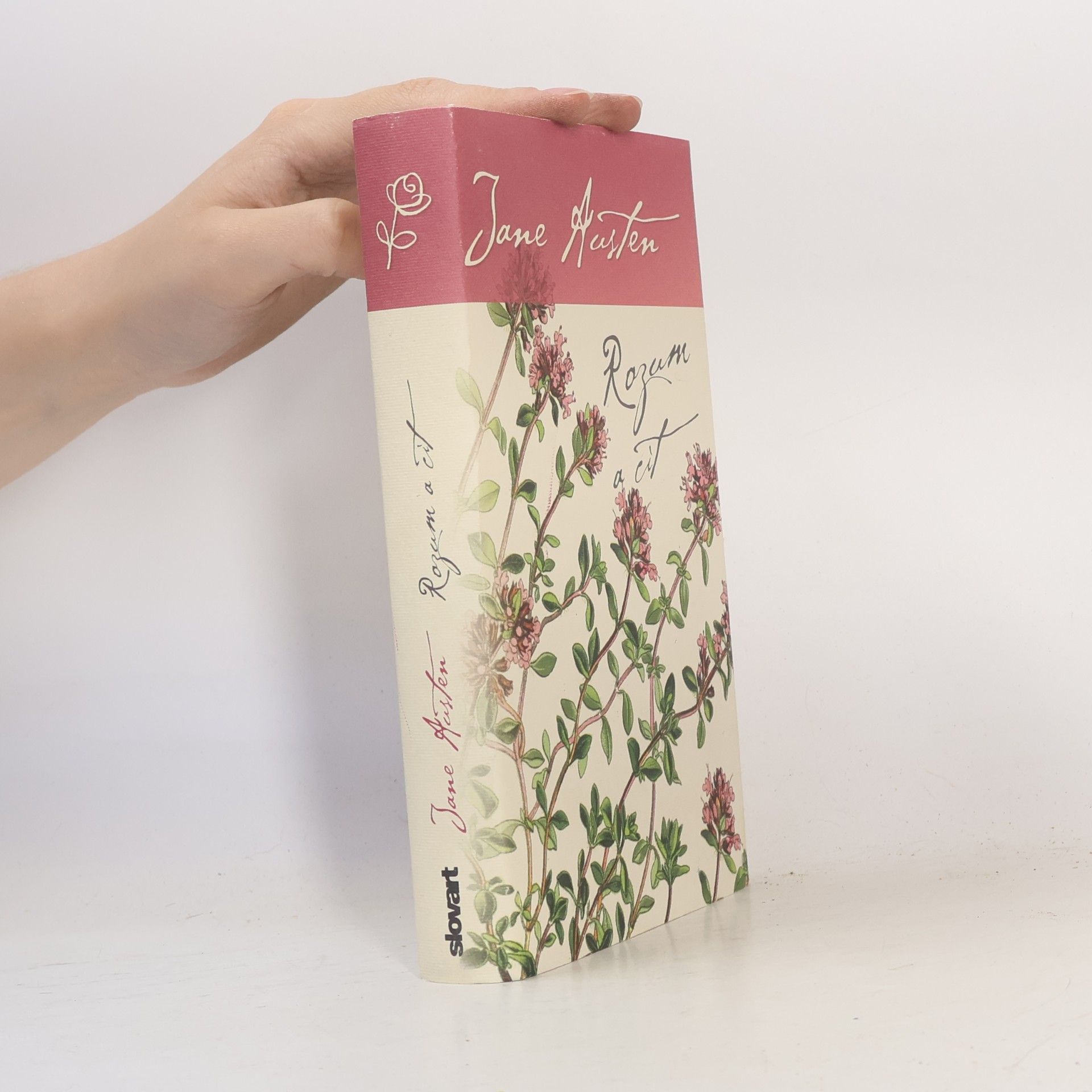 Jane Austen Rozum a cit