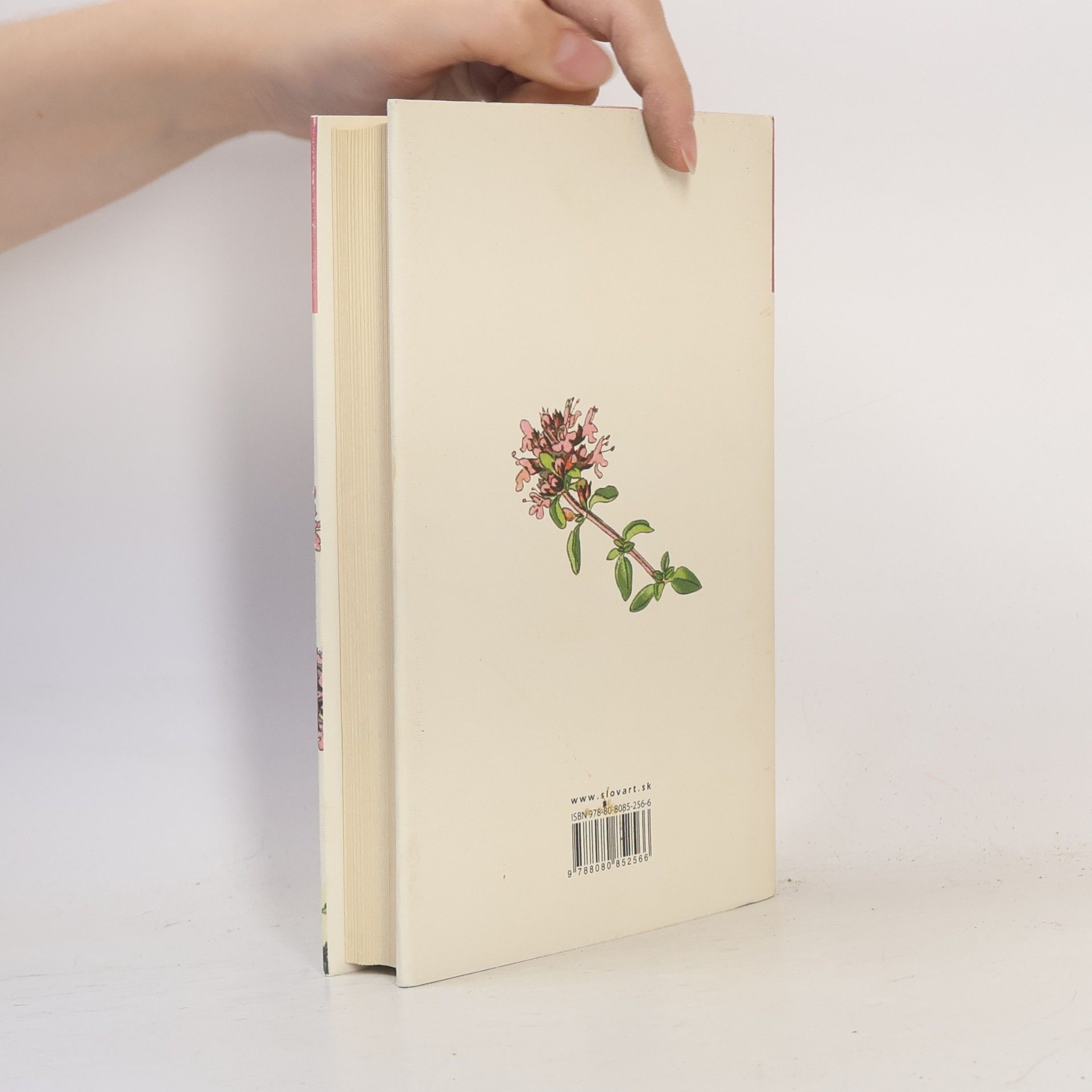 Jane Austen Rozum a cit