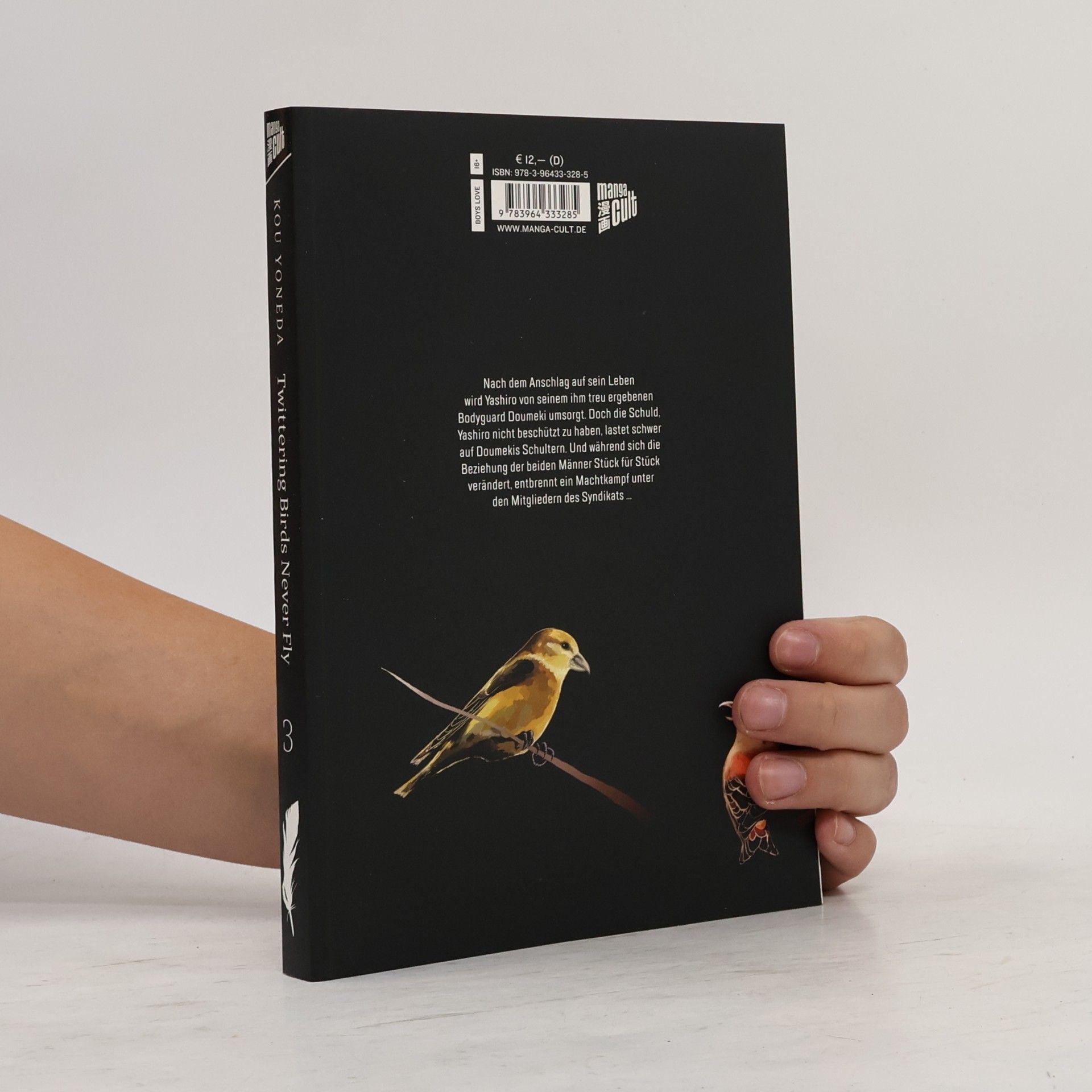 Kou Yoneda Twittering Birds Never Fly 3