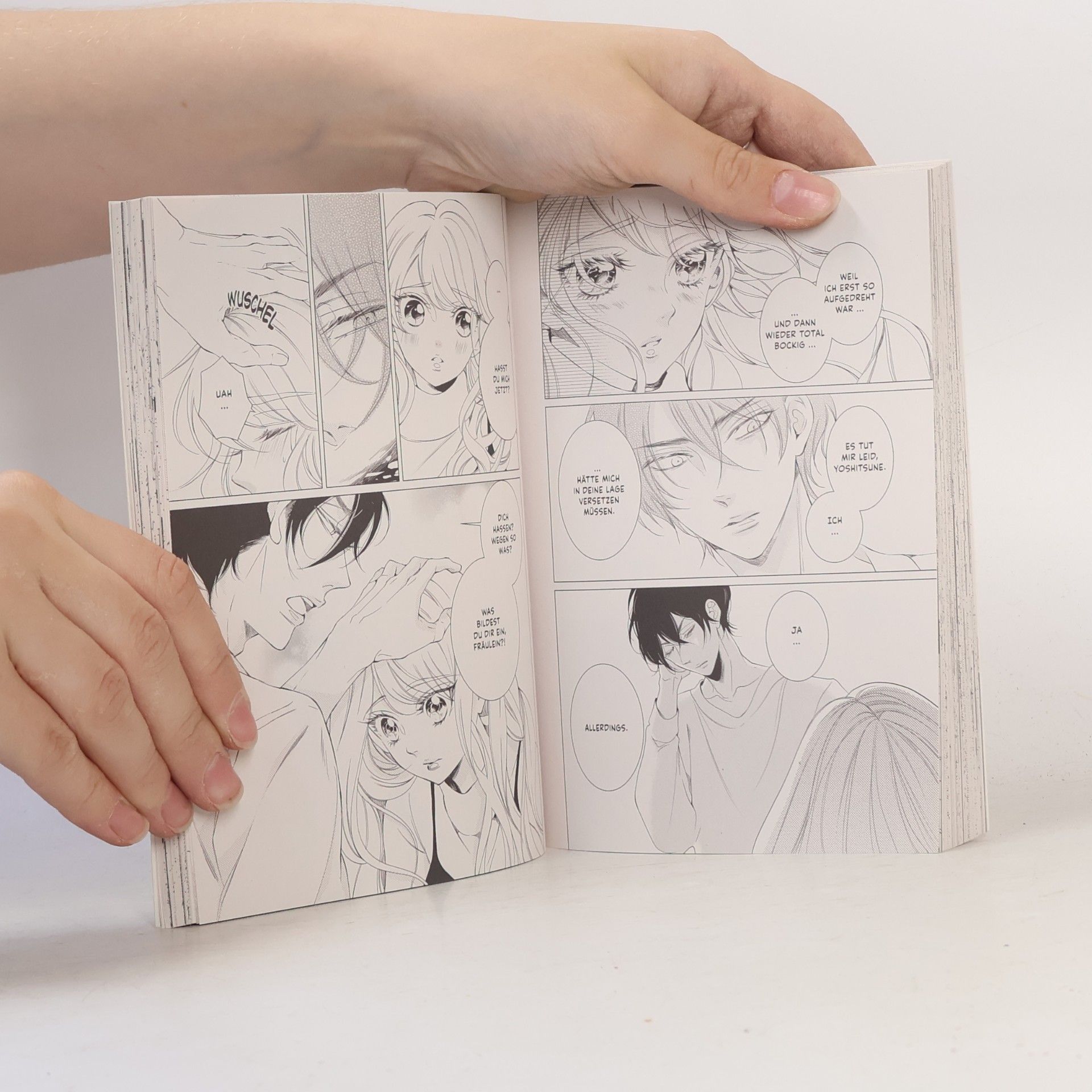 Hina Sakurada Liebe im Anzug - Band 6