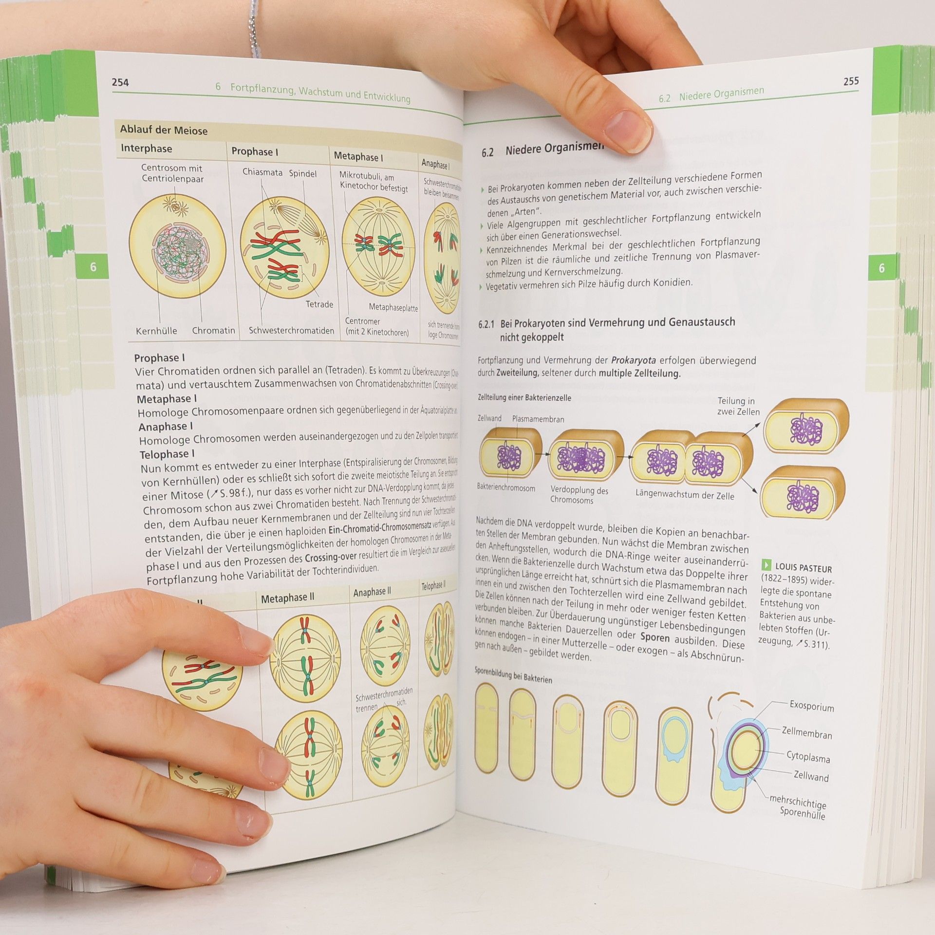 Autorenkollektiv Biologie