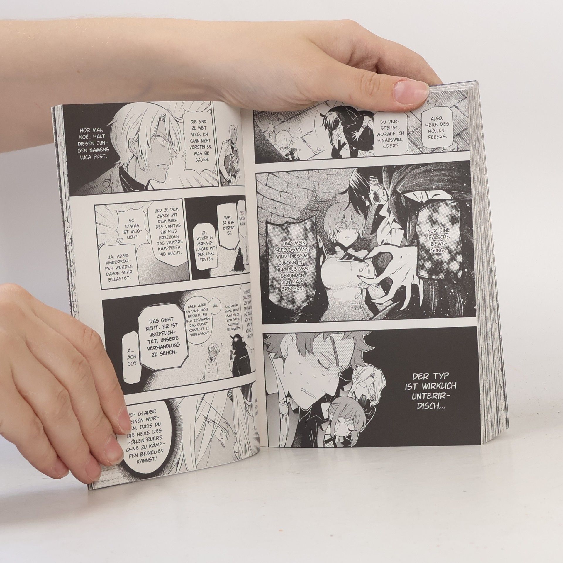 Jun Mochizuki The case study of Vanitas 1
