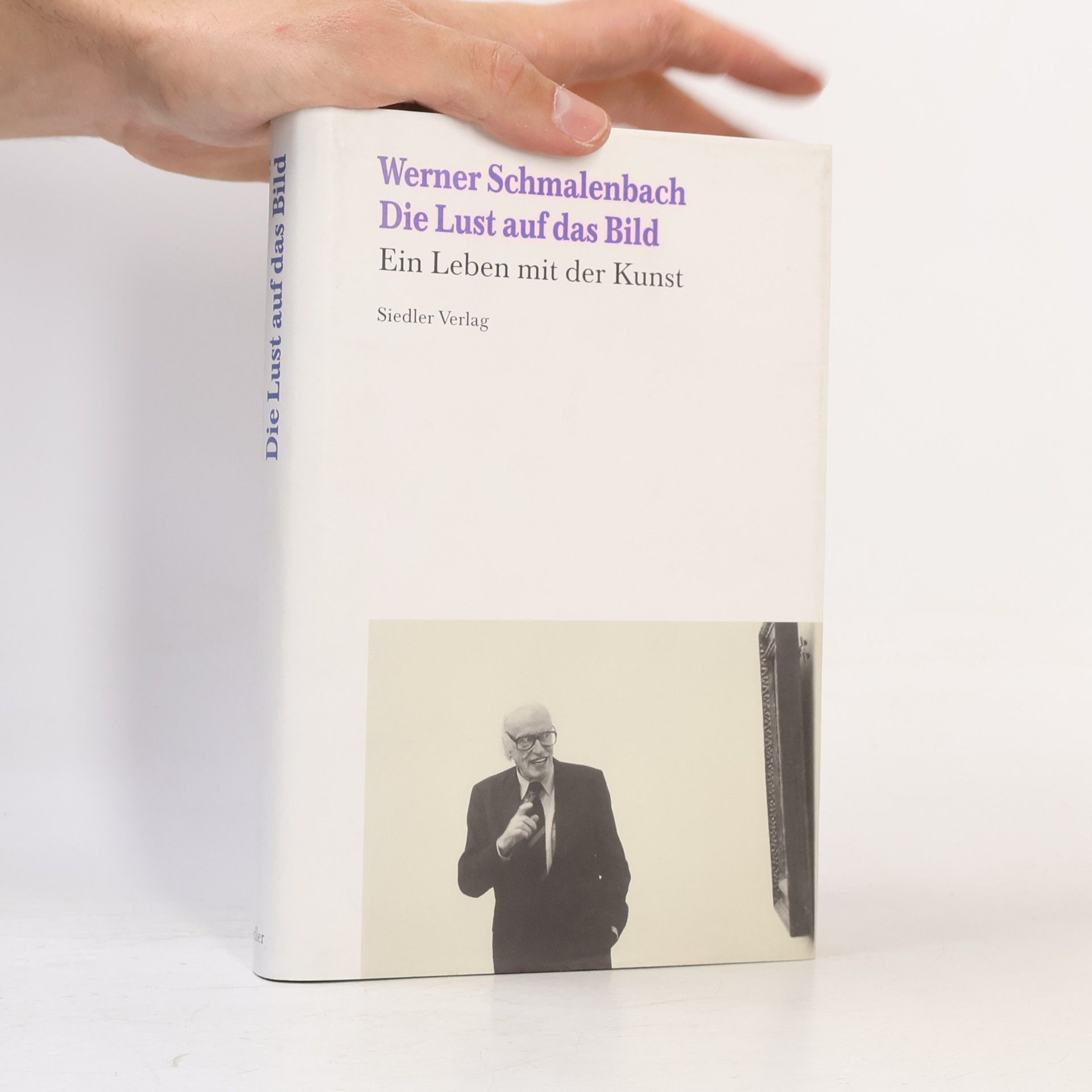 Werner Schmalenbach Die Lust auf das Bild