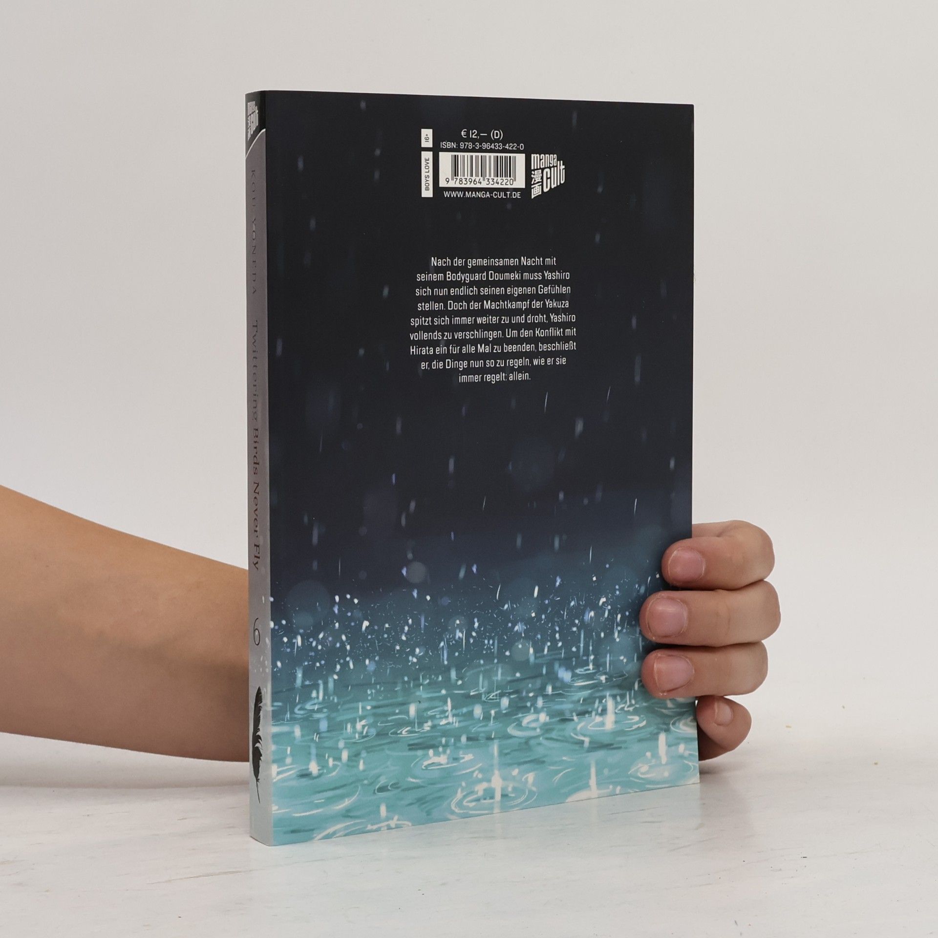 Kou Yoneda Twittering Birds Never Fly 6