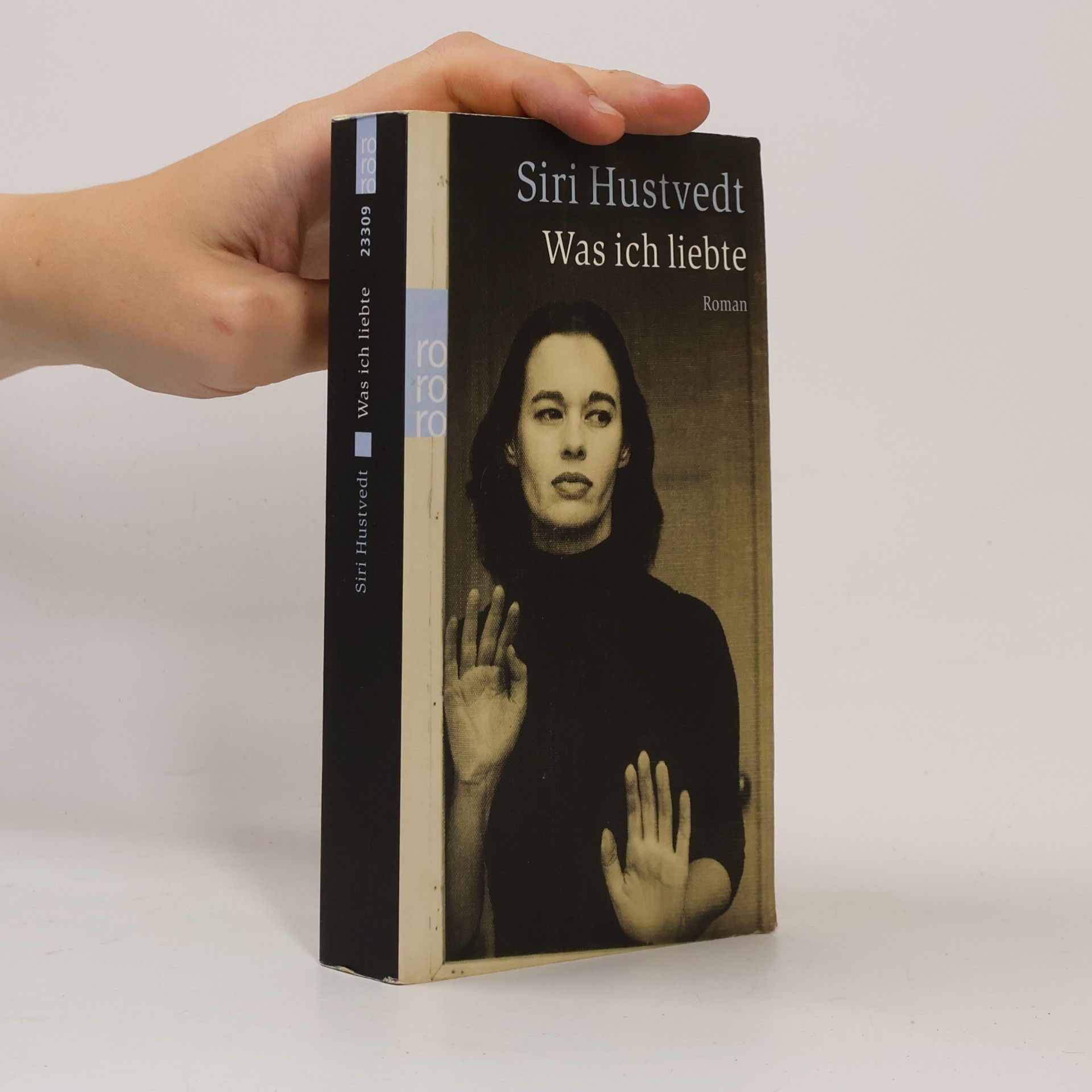 Siri Hustvedt Was ich liebte