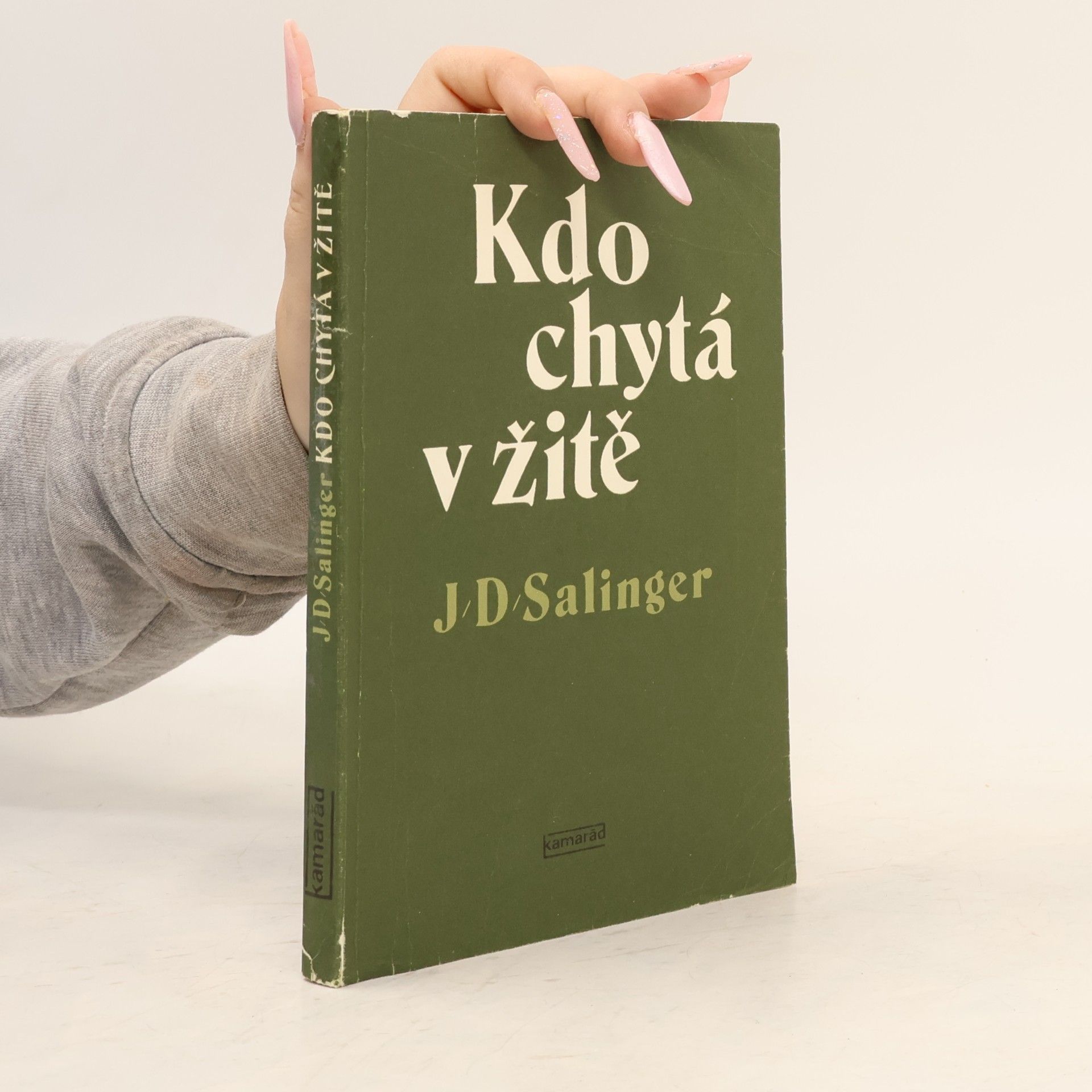 Jerome David Salinger Kdo chytá v žitě