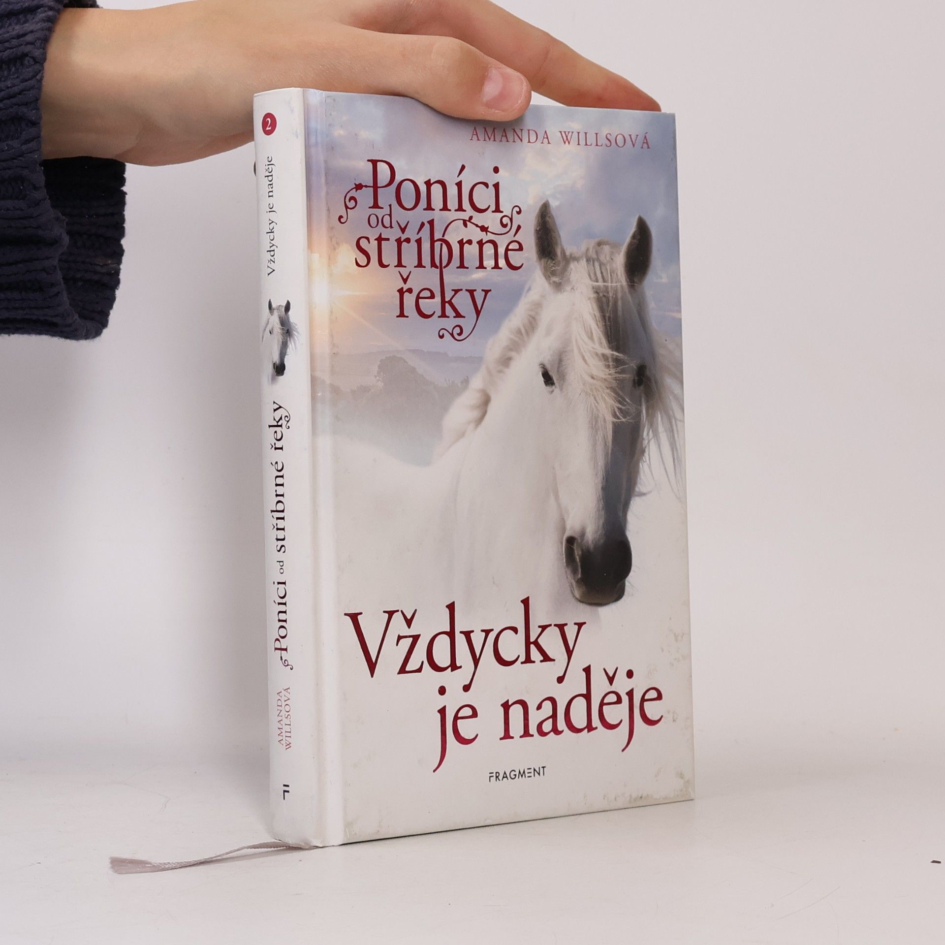 Amanda Wills Vždycky je naděje