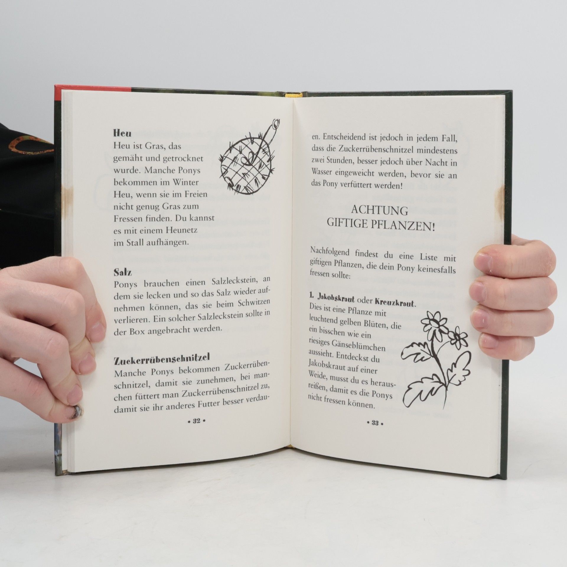 Caroline Plaisted Mein erstes Reitbuch