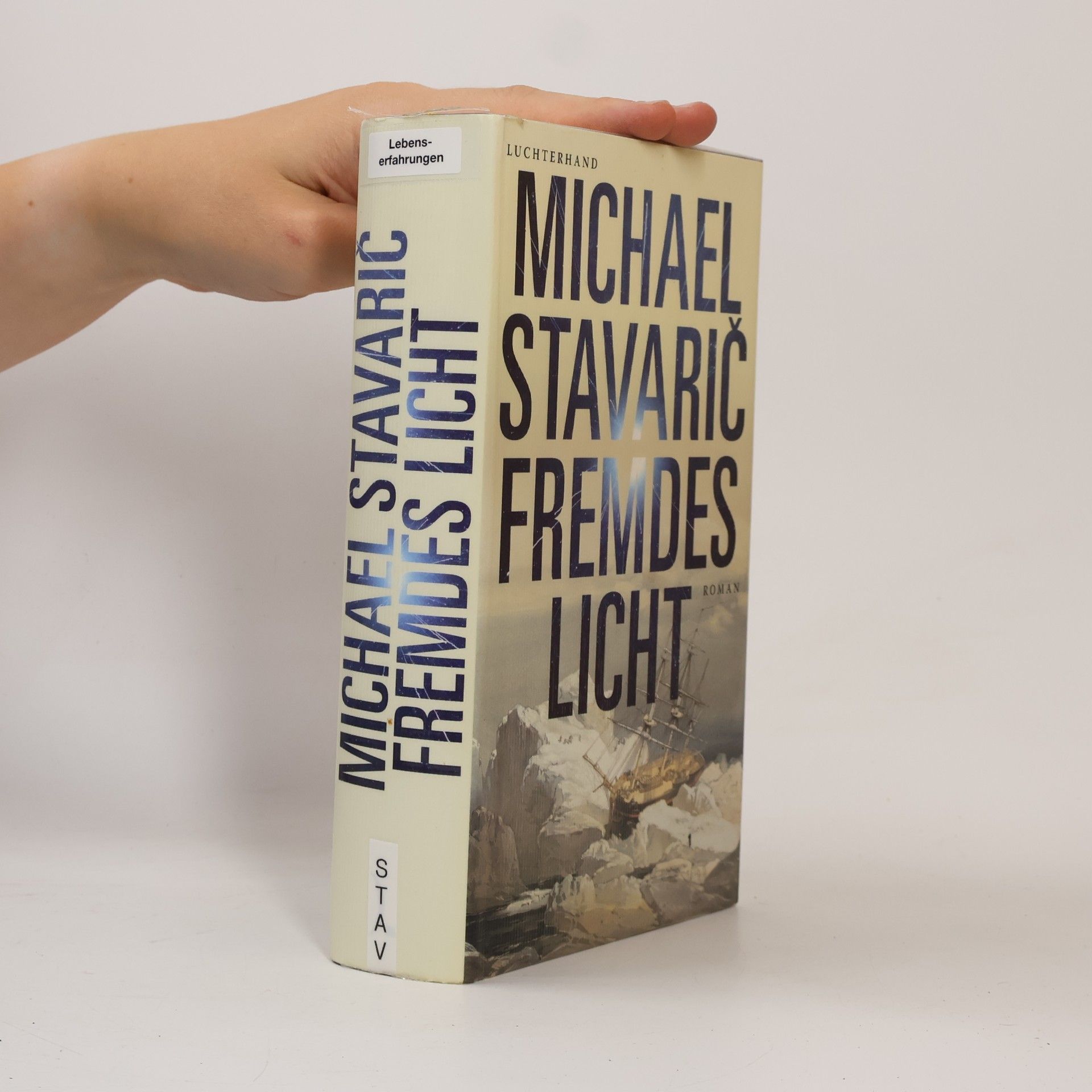 Michael Stavarič Fremdes Licht