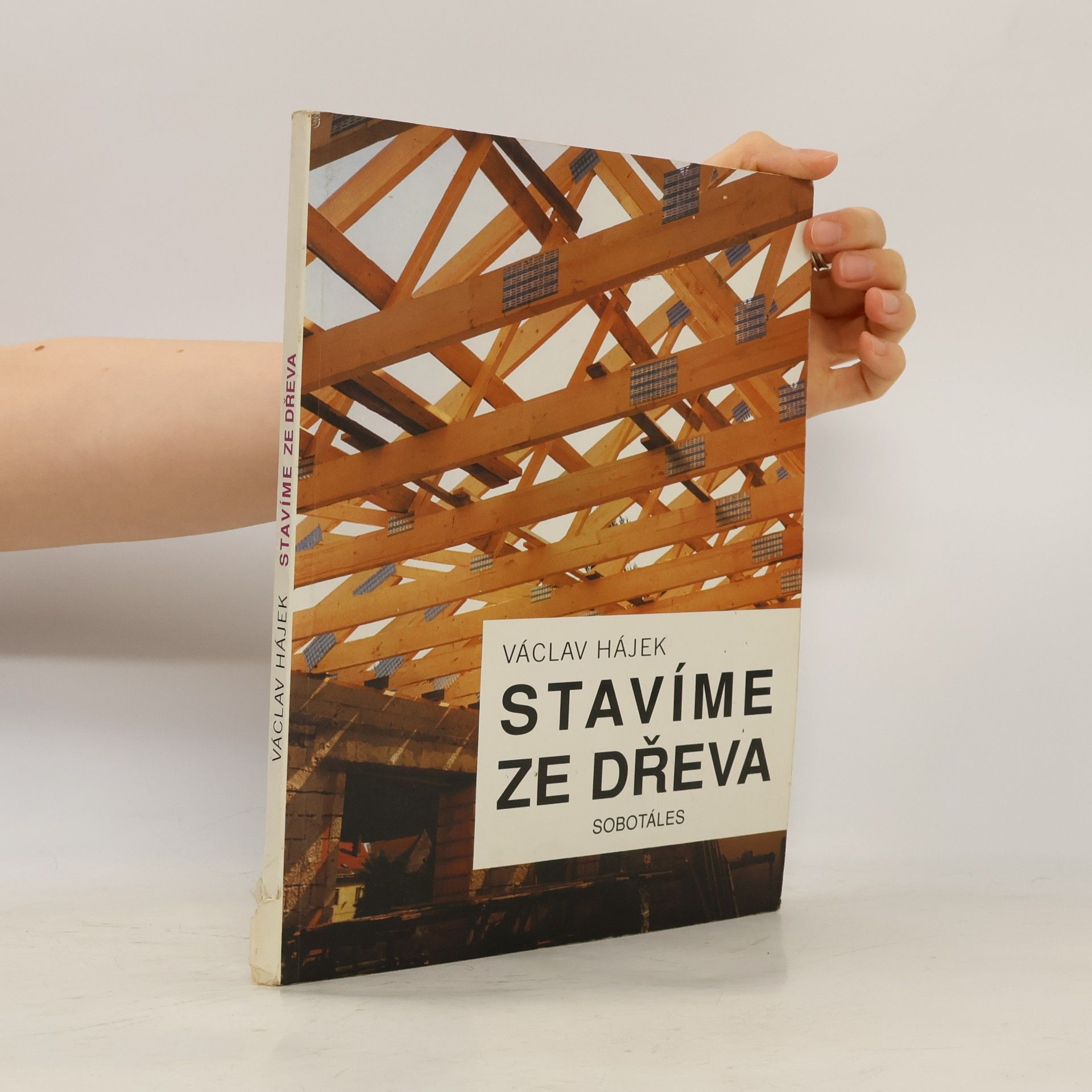 Václav Hájek Stavíme ze dřeva