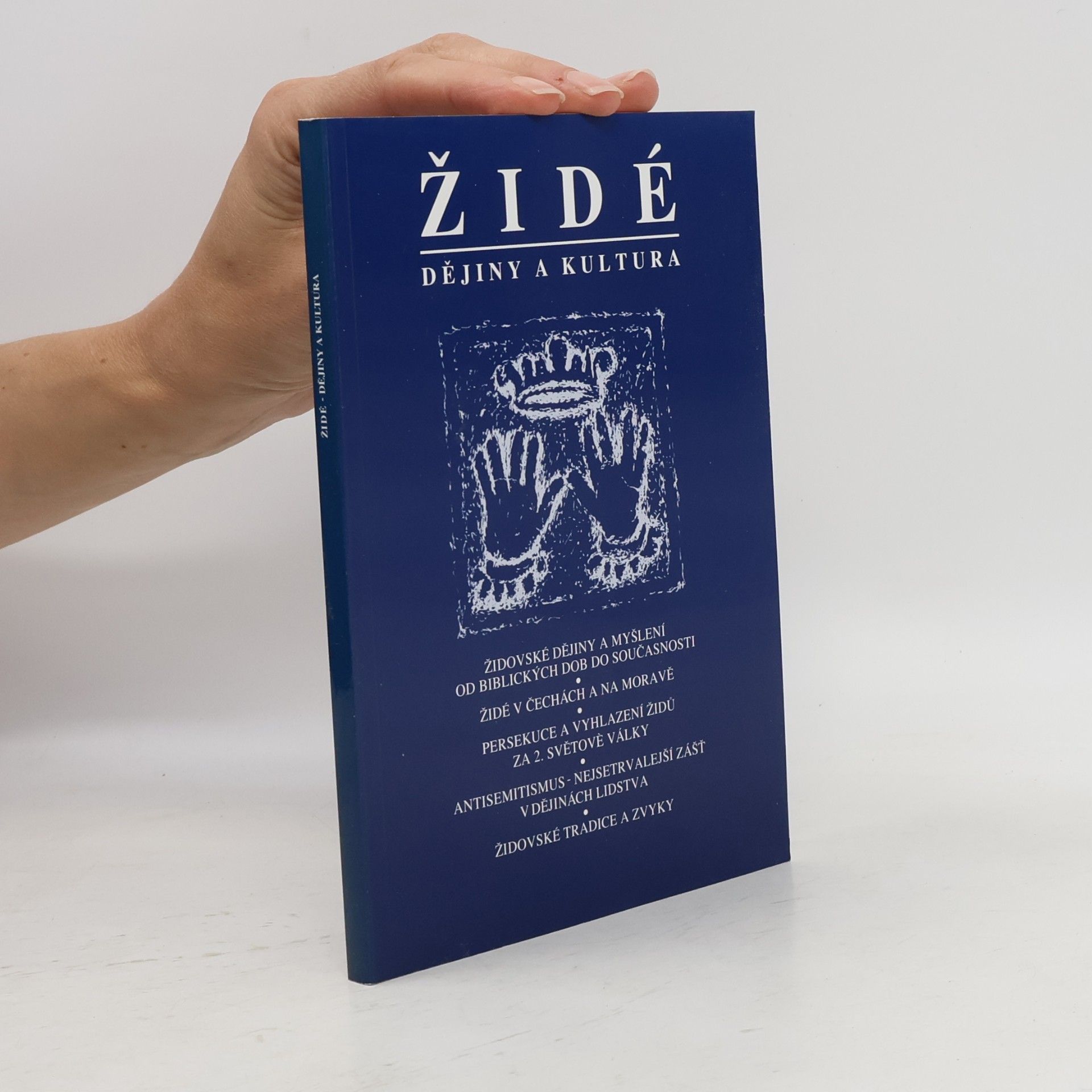 Autorenkollektiv Židé - dějiny a kultura