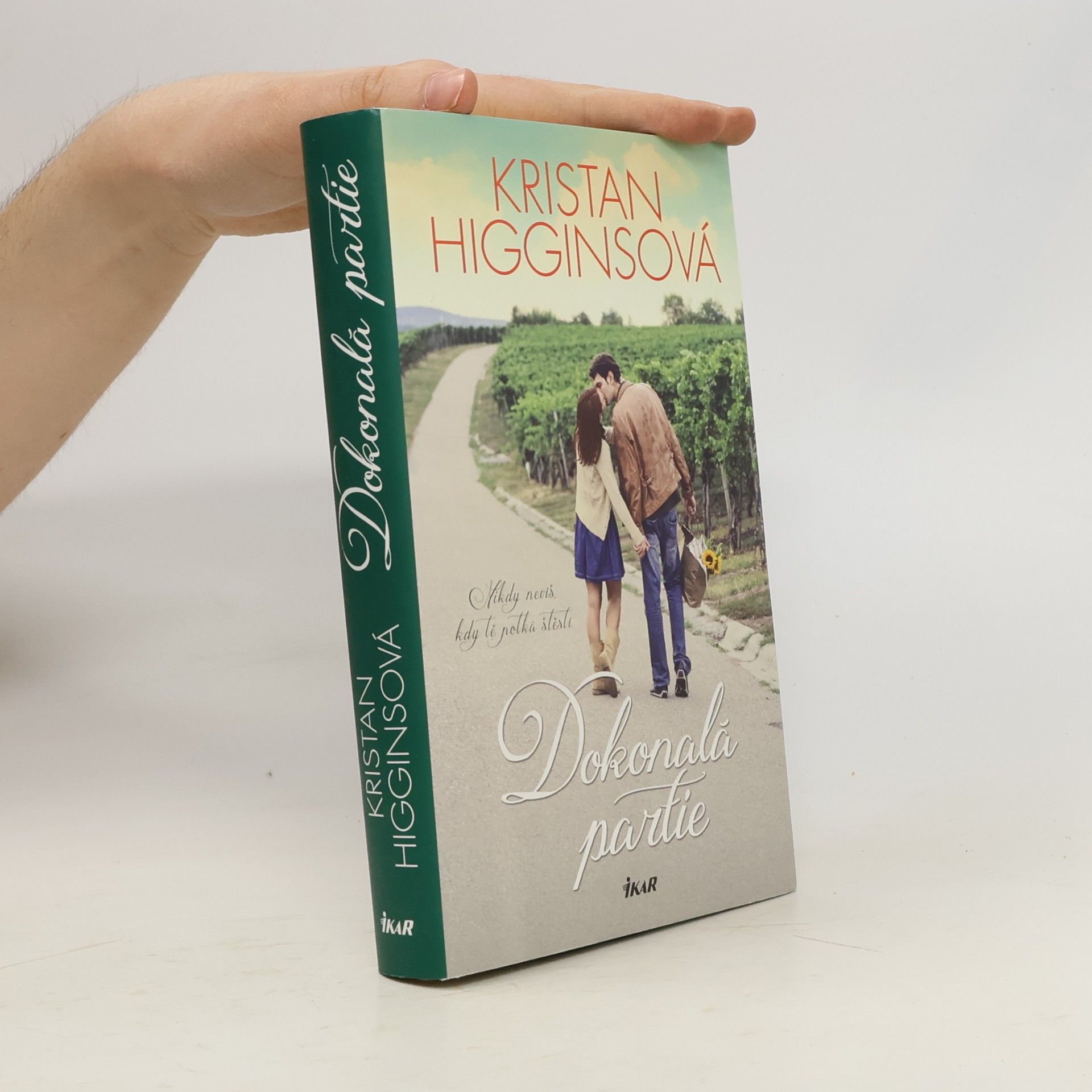 Kristan Higgins Dokonalá partie