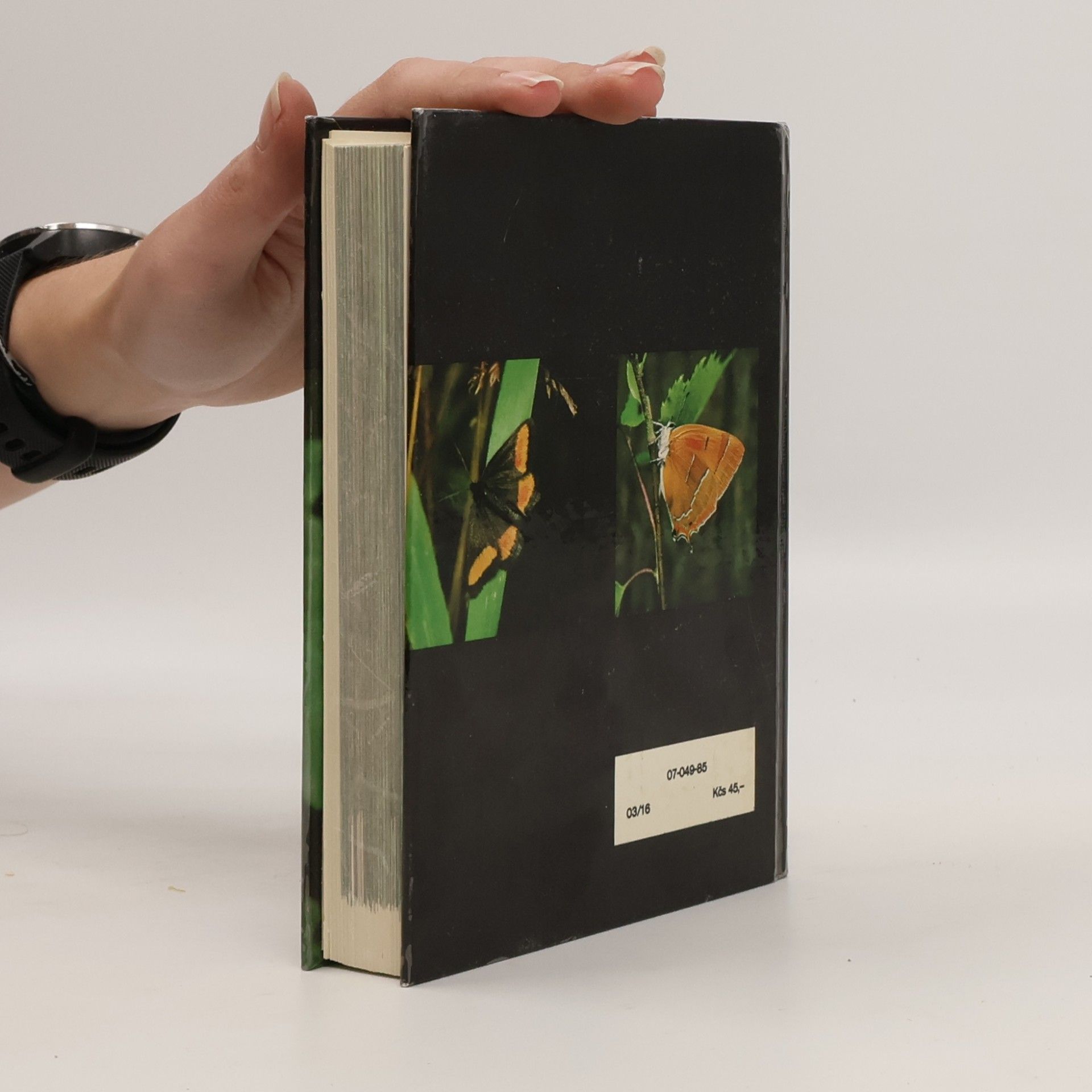 Rudolf Hrabák Kapesní atlas našich motýlů